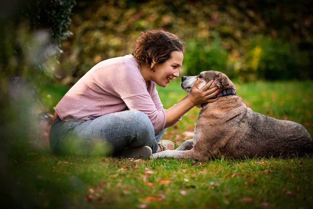 London family & dog photographer
