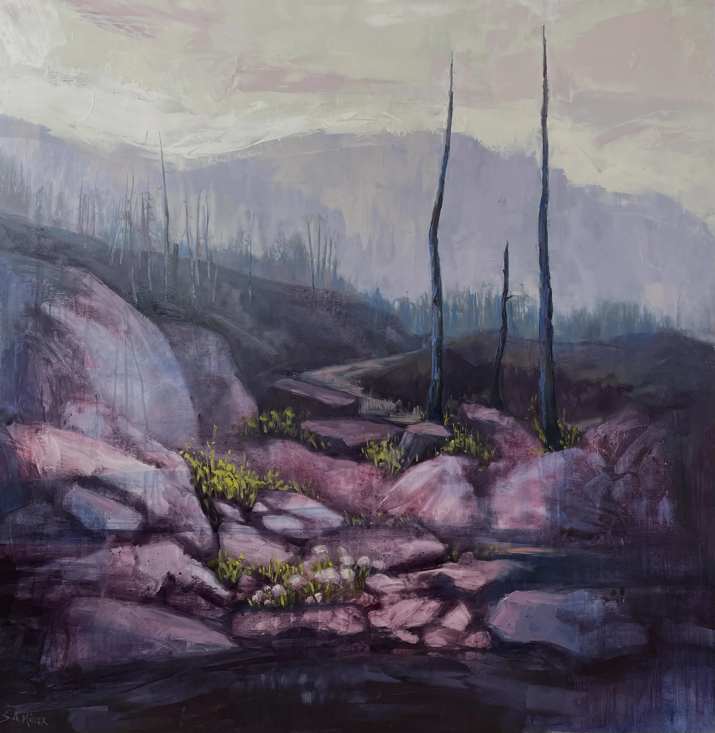 Still Standing - North Shore Wildfire Series 2025