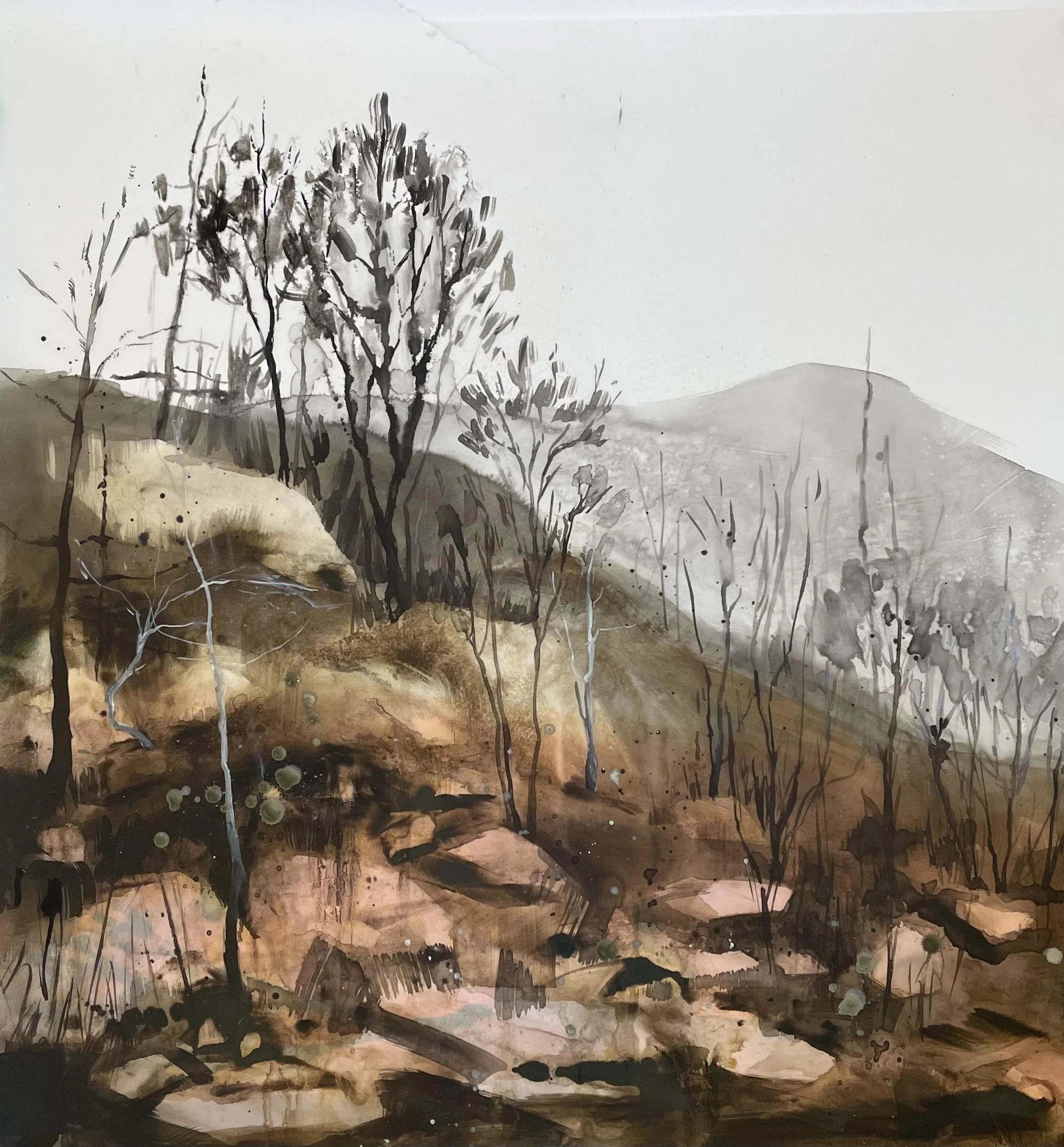 What Remains - North Shore Wildfire Series 2025