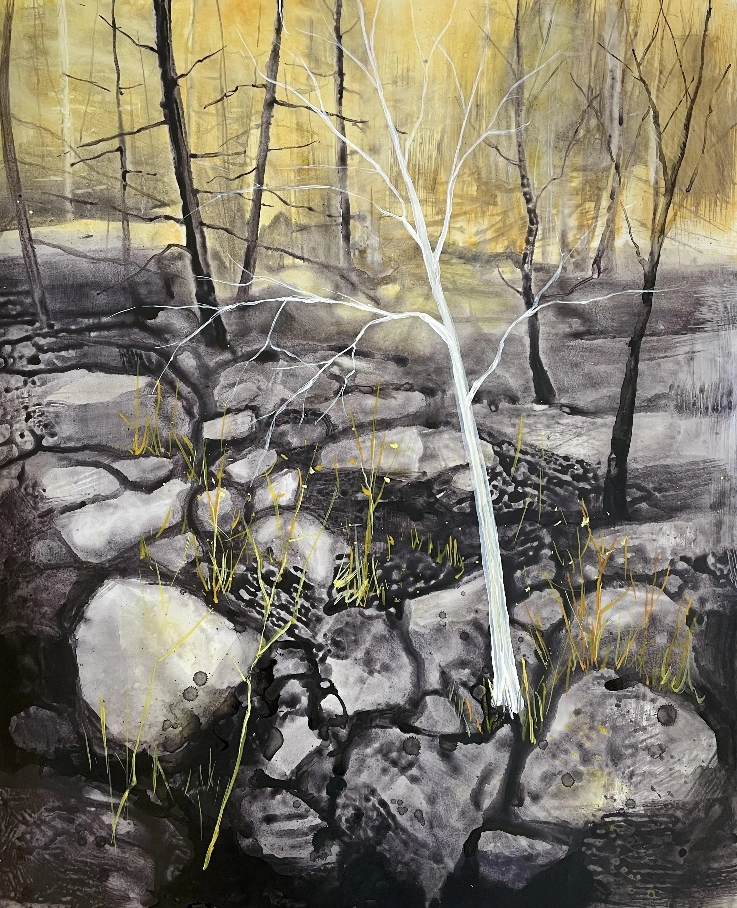 Ghost Tree - North Shore Wildfire Series 2025