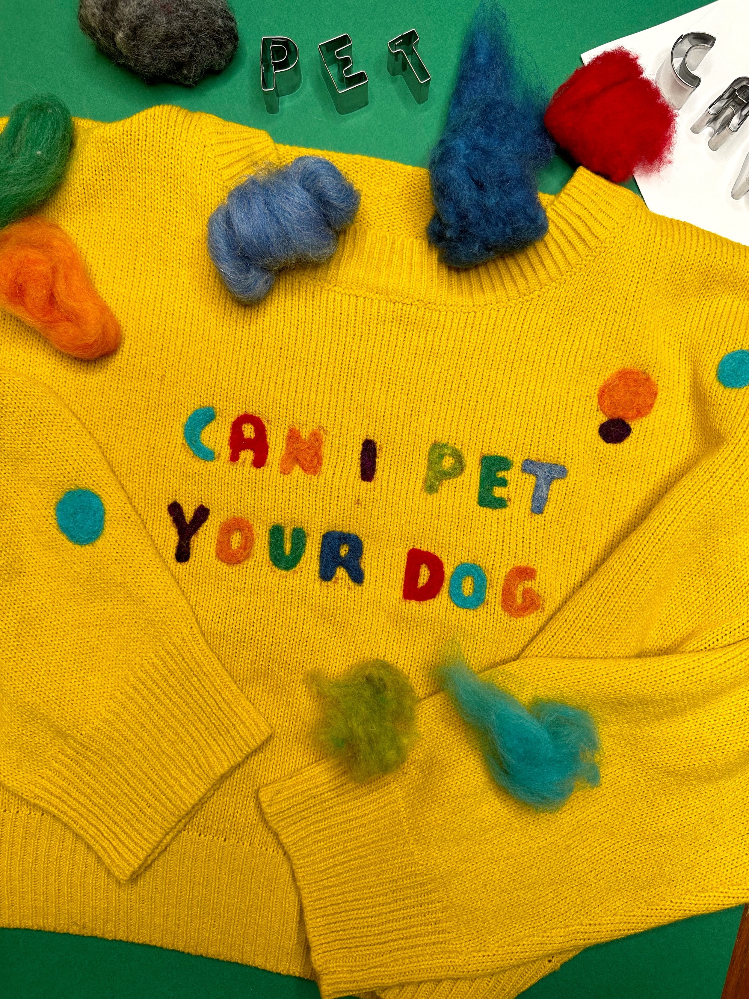 Personalized Sweater with Needle Felting.JPG