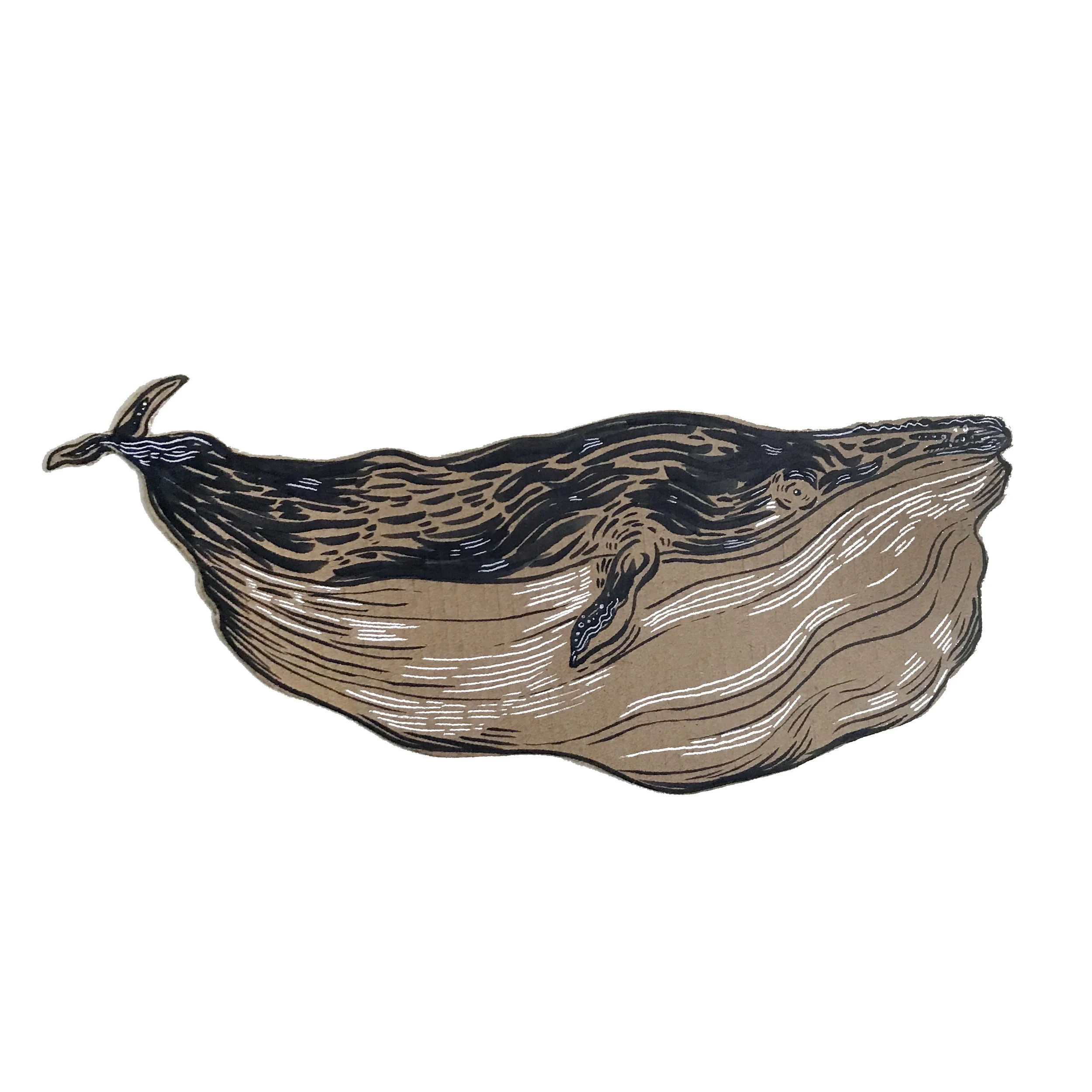 cardboardwhale2.jpg
