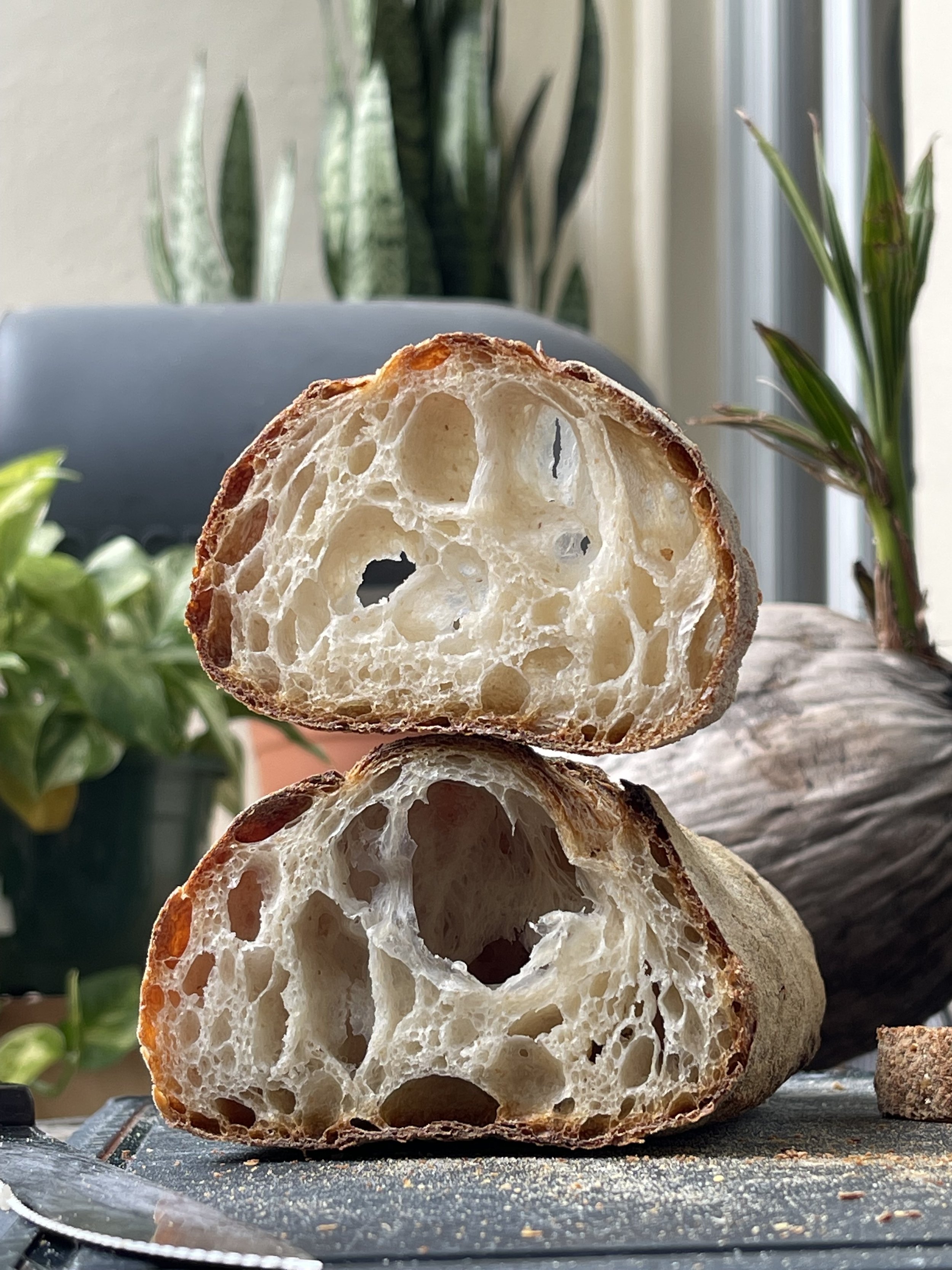 Fresh Italian Filone