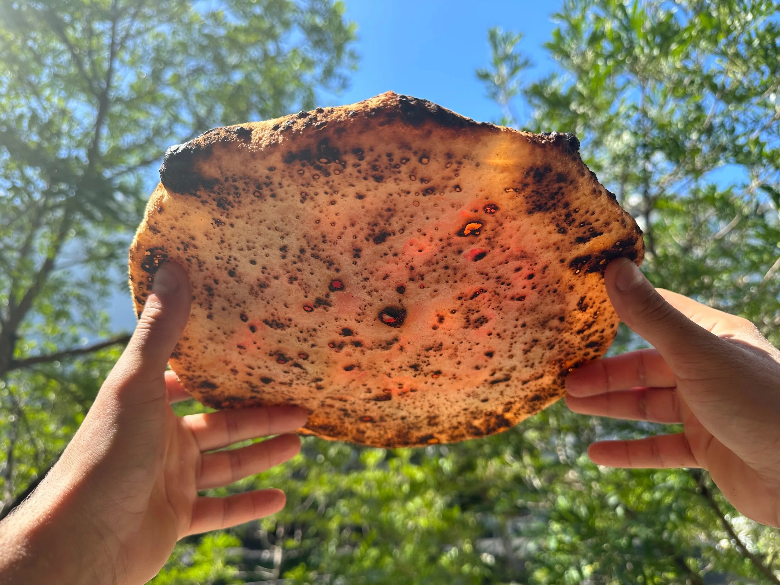 EC7E7E93-17E6-4FFC-9097-C40C302F577F