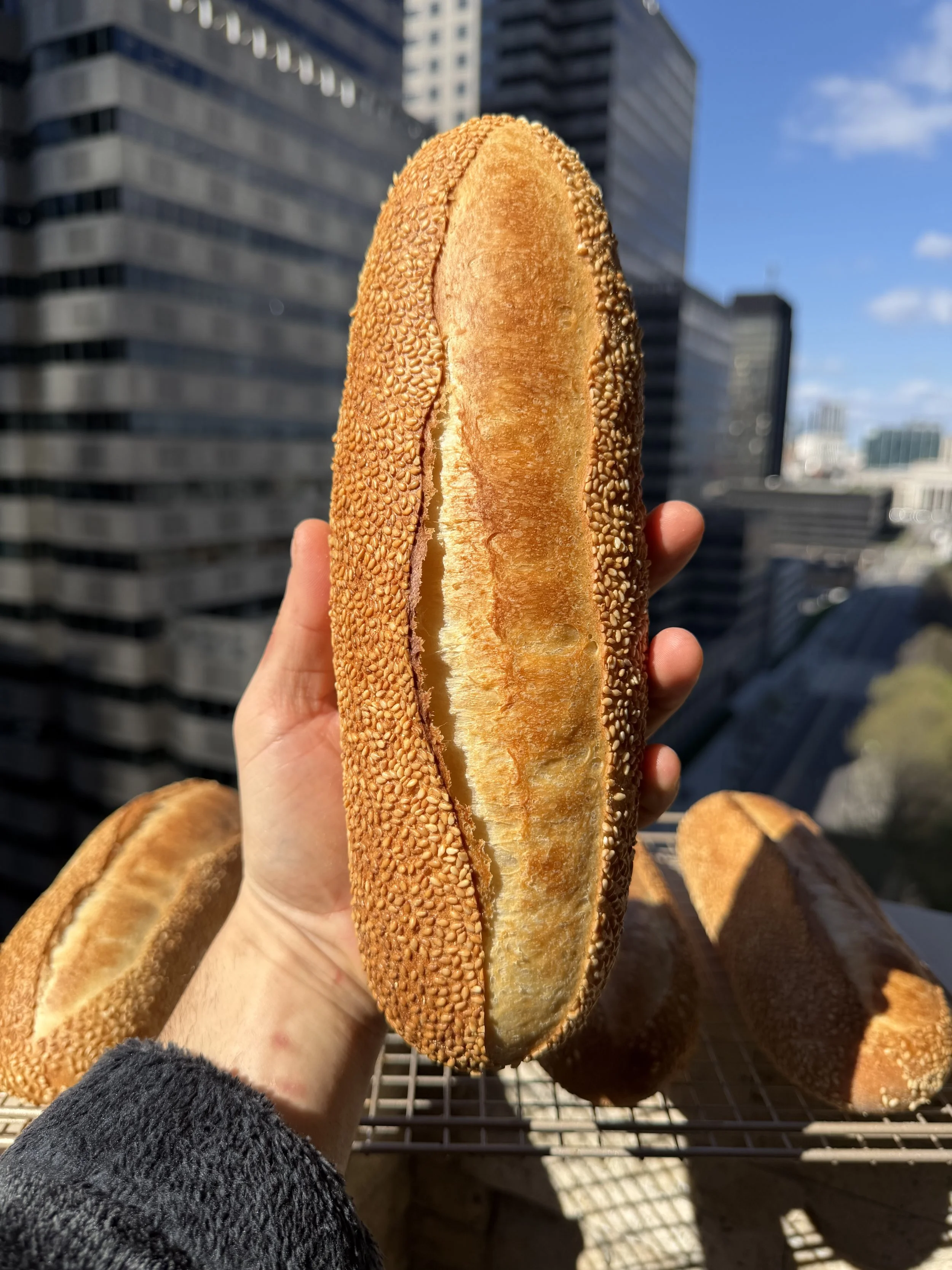 Original Hoagie Roll Guide by Julian Sisofo