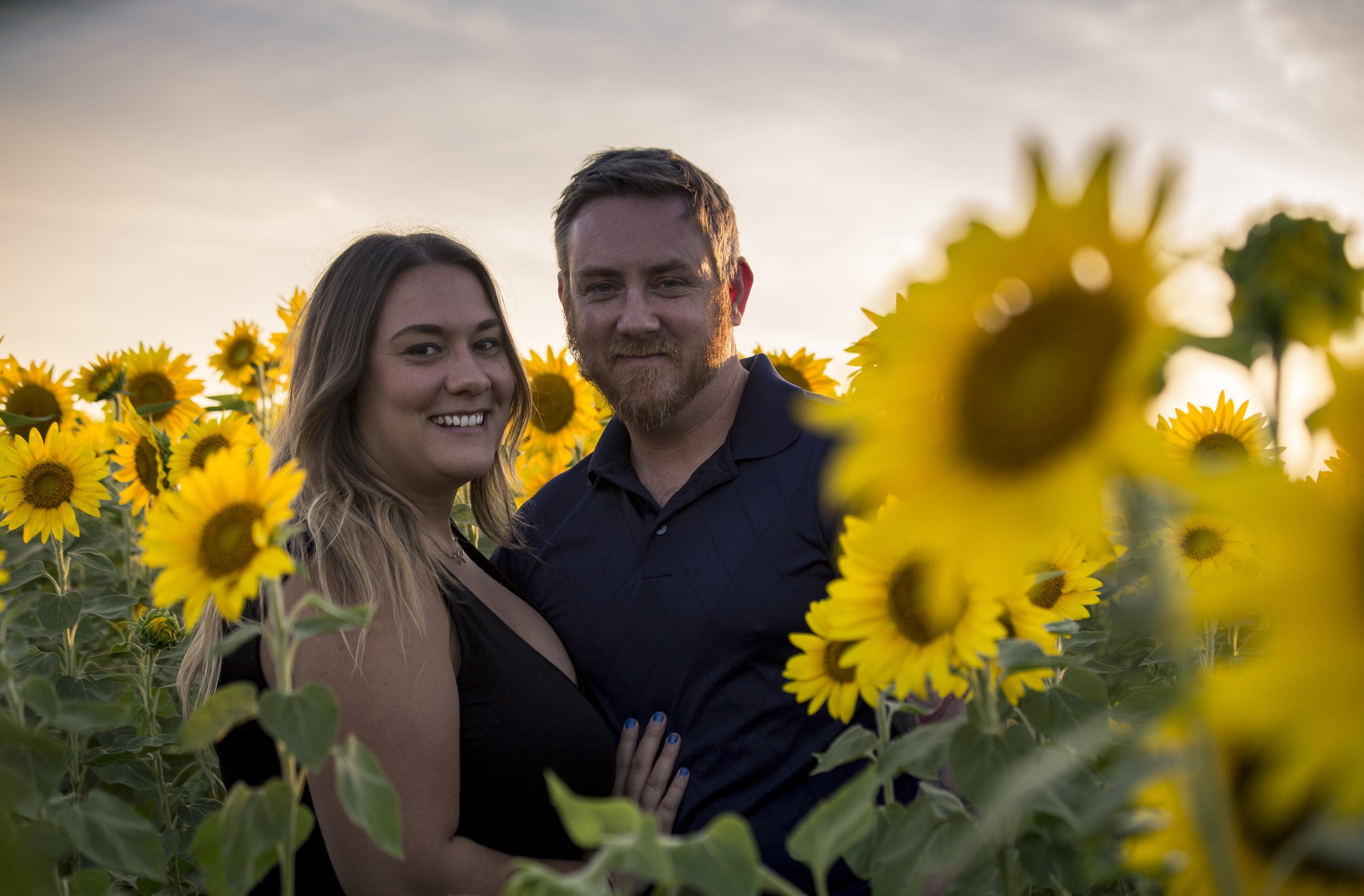 Sunflower Sunset-1133.jpg