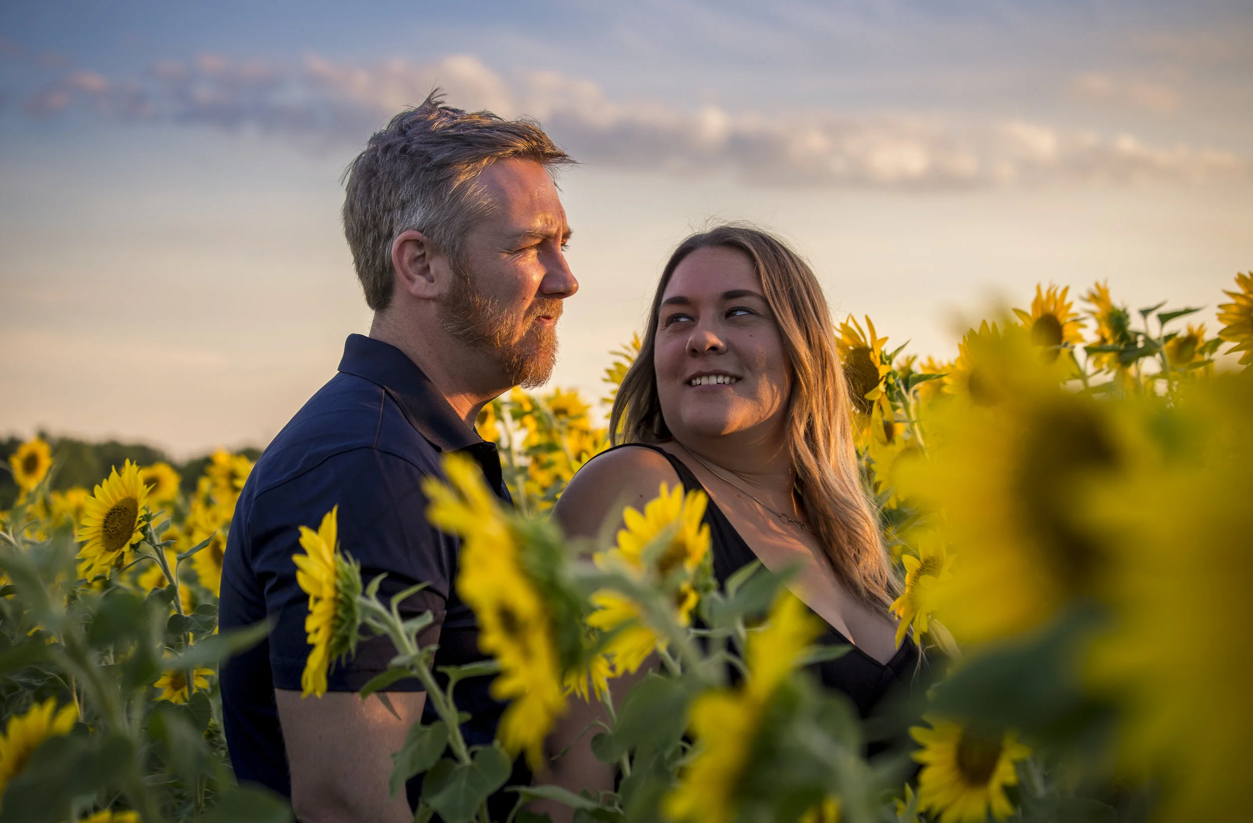 Sunflower Sunset-1142.jpg