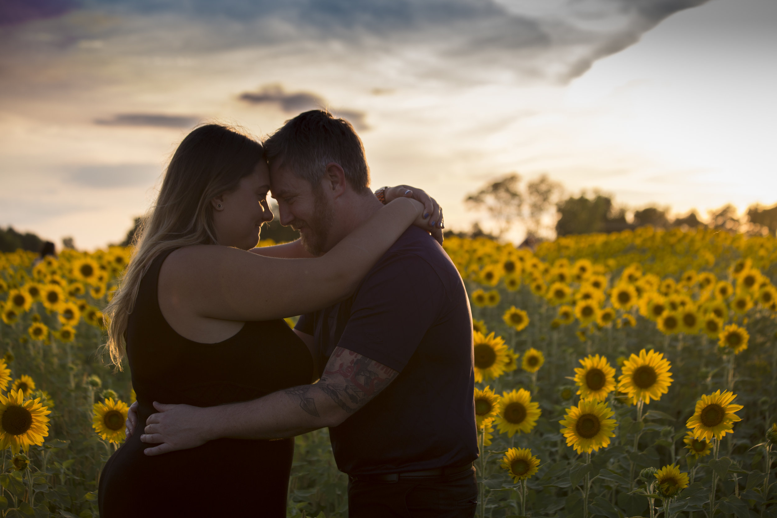Sunflower Sunset-1168.jpg