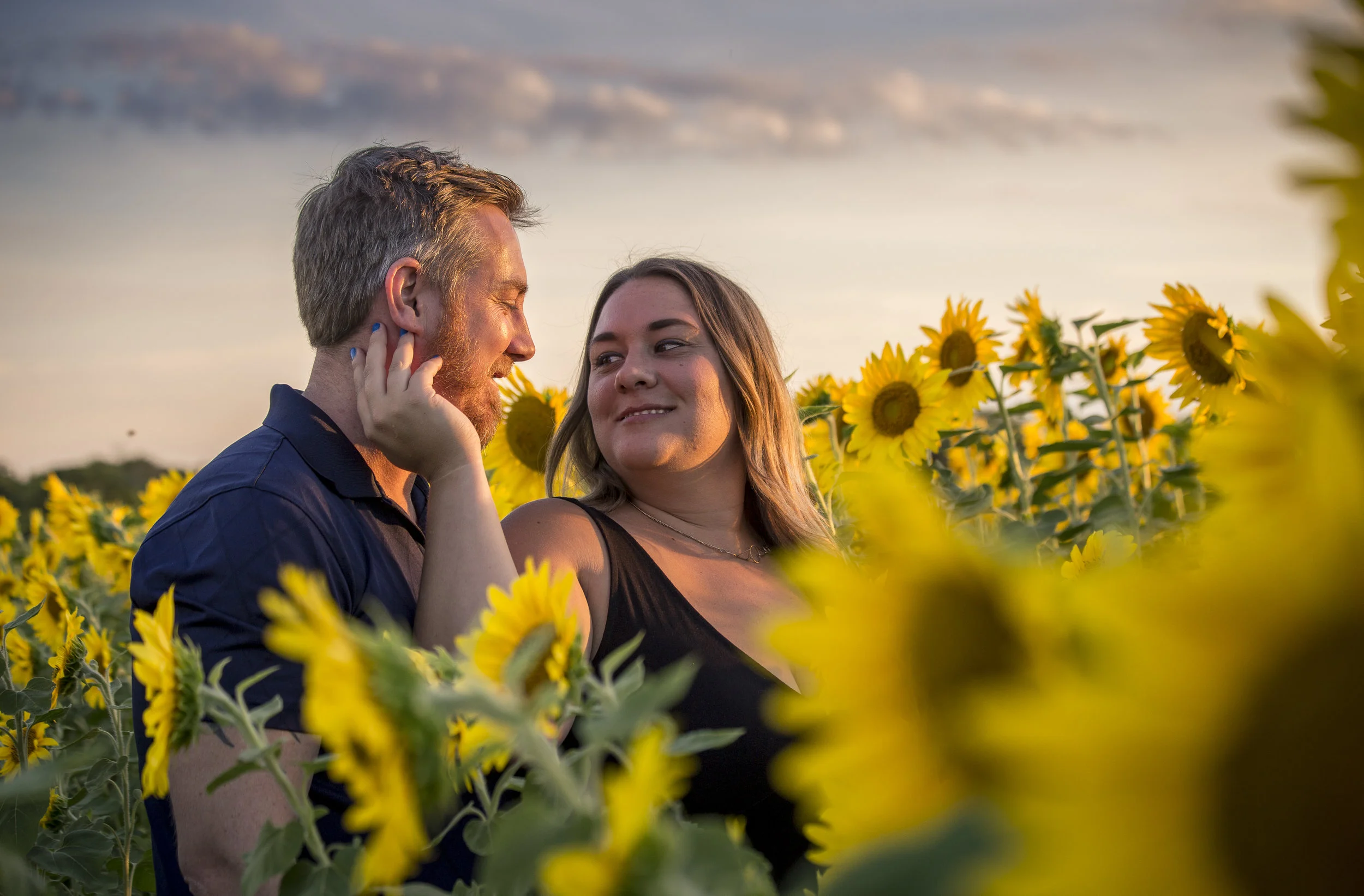 Sunflower Sunset-1159.jpg
