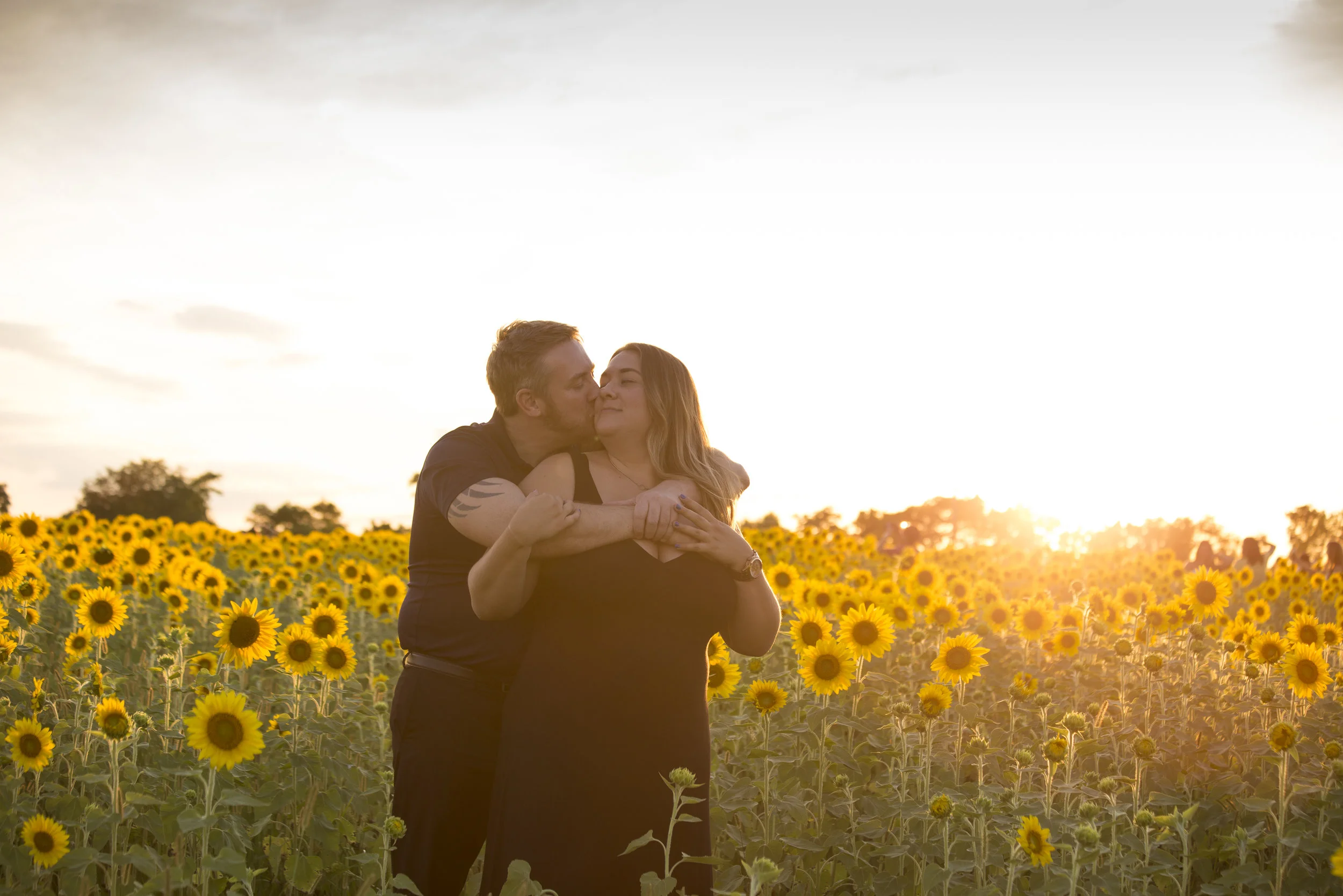 Sunflower Sunset-1189.jpg