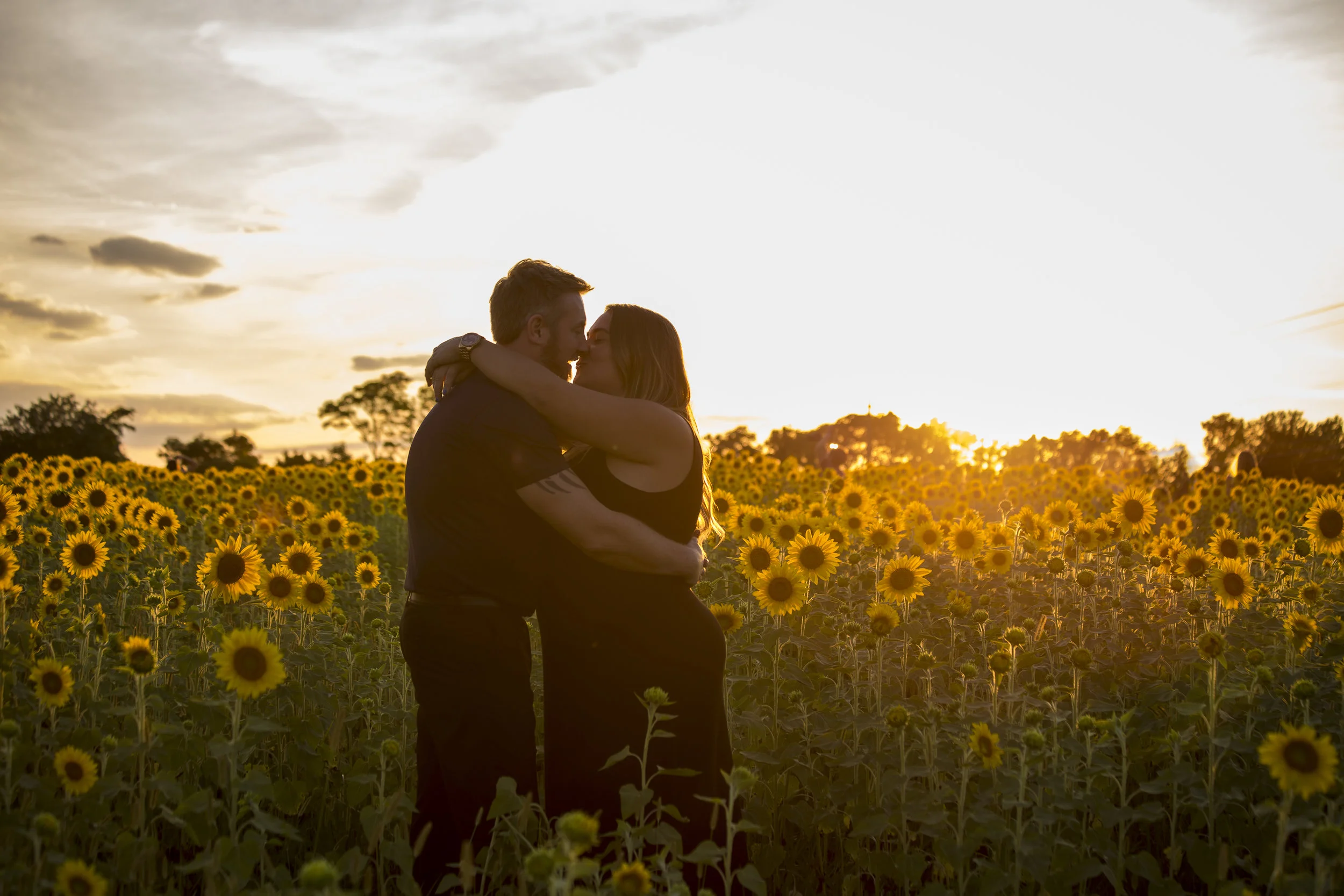 Sunflower Sunset-1201.jpg