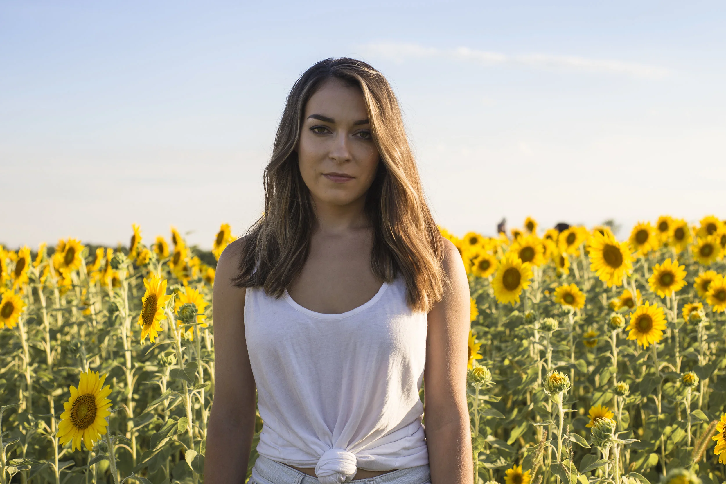 Sunflower Sunset-0854.jpg