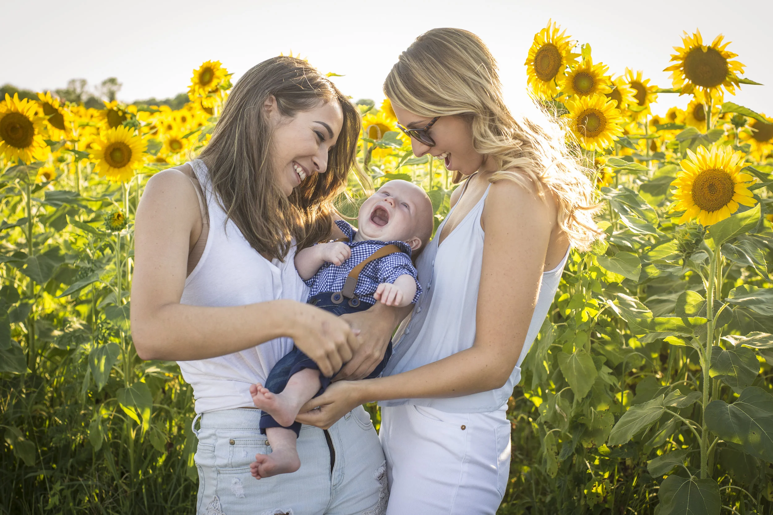 Sunflower Sunset-0701.jpg
