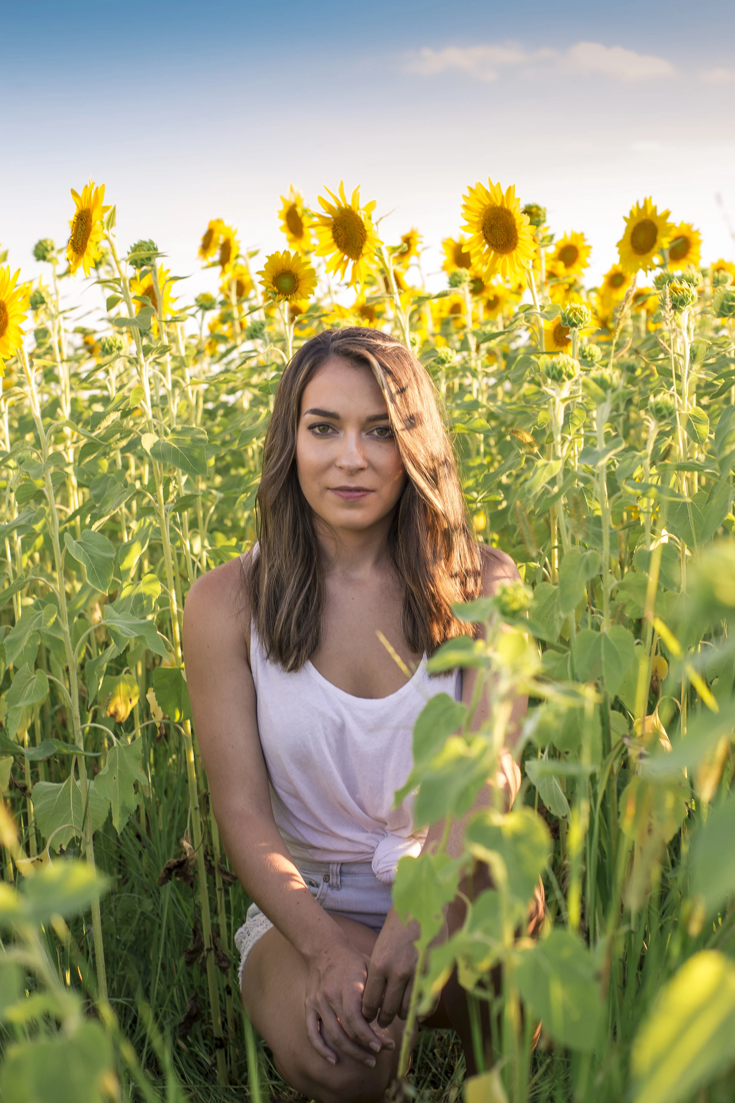 Sunflower Sunset-0867.jpg