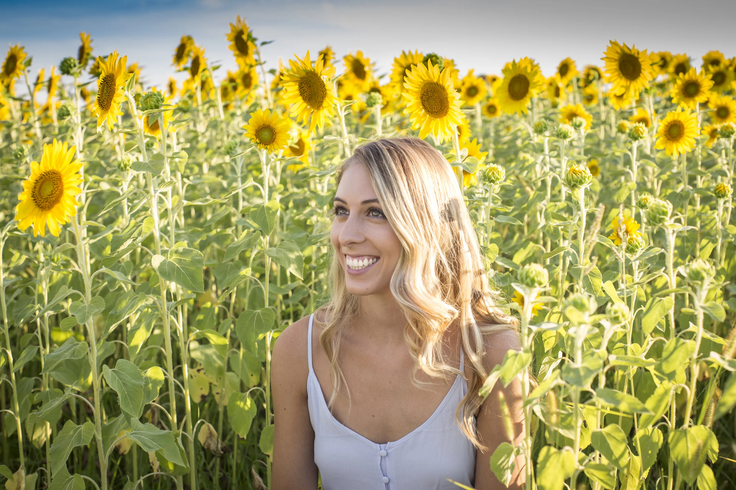 Sunflower Sunset-0889.jpg