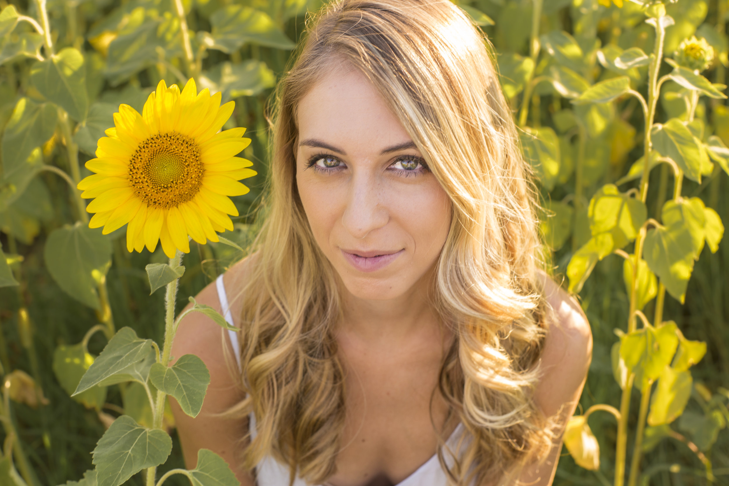 Sunflower Sunset-0897.jpg