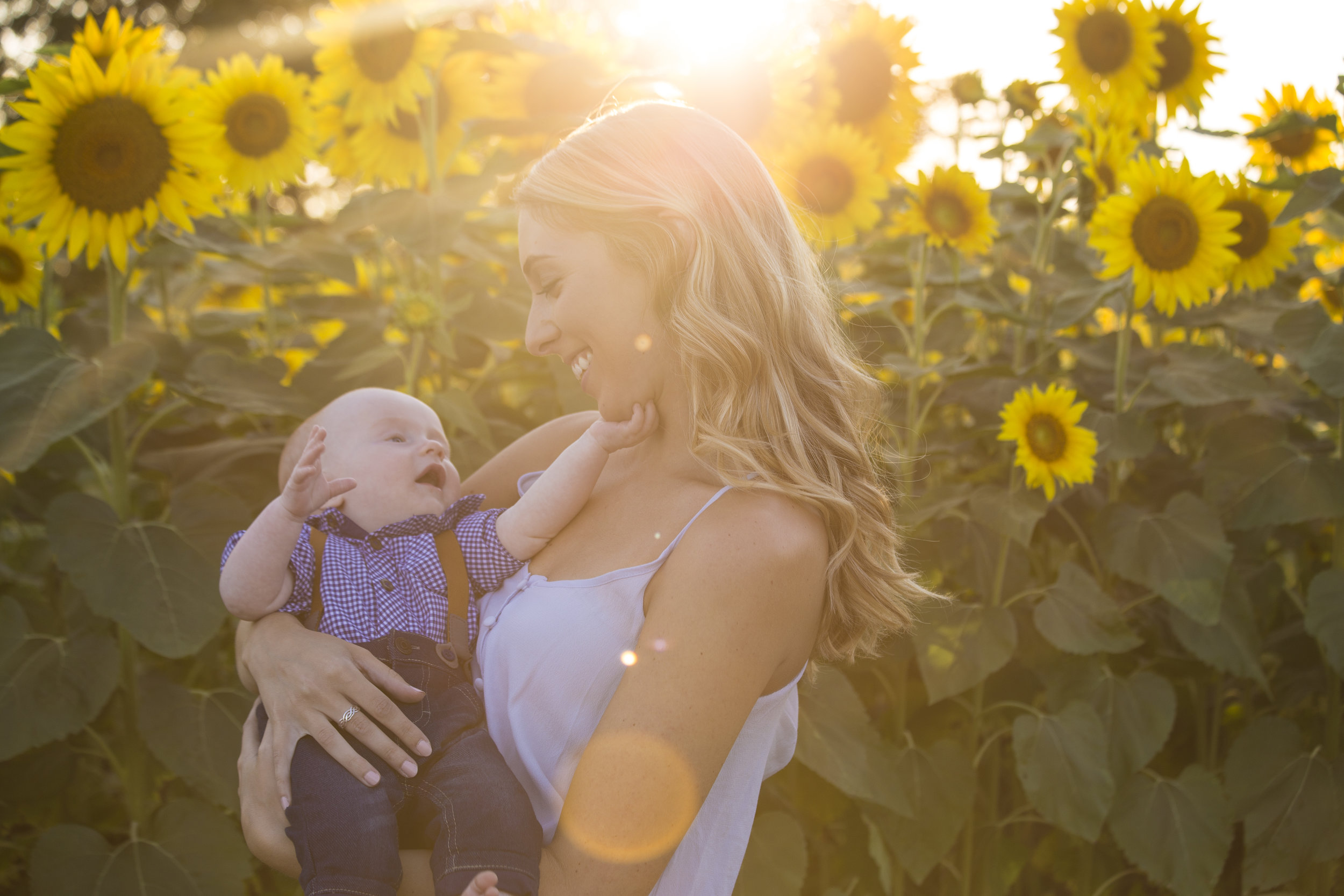 Sunflower Sunset-1064.jpg