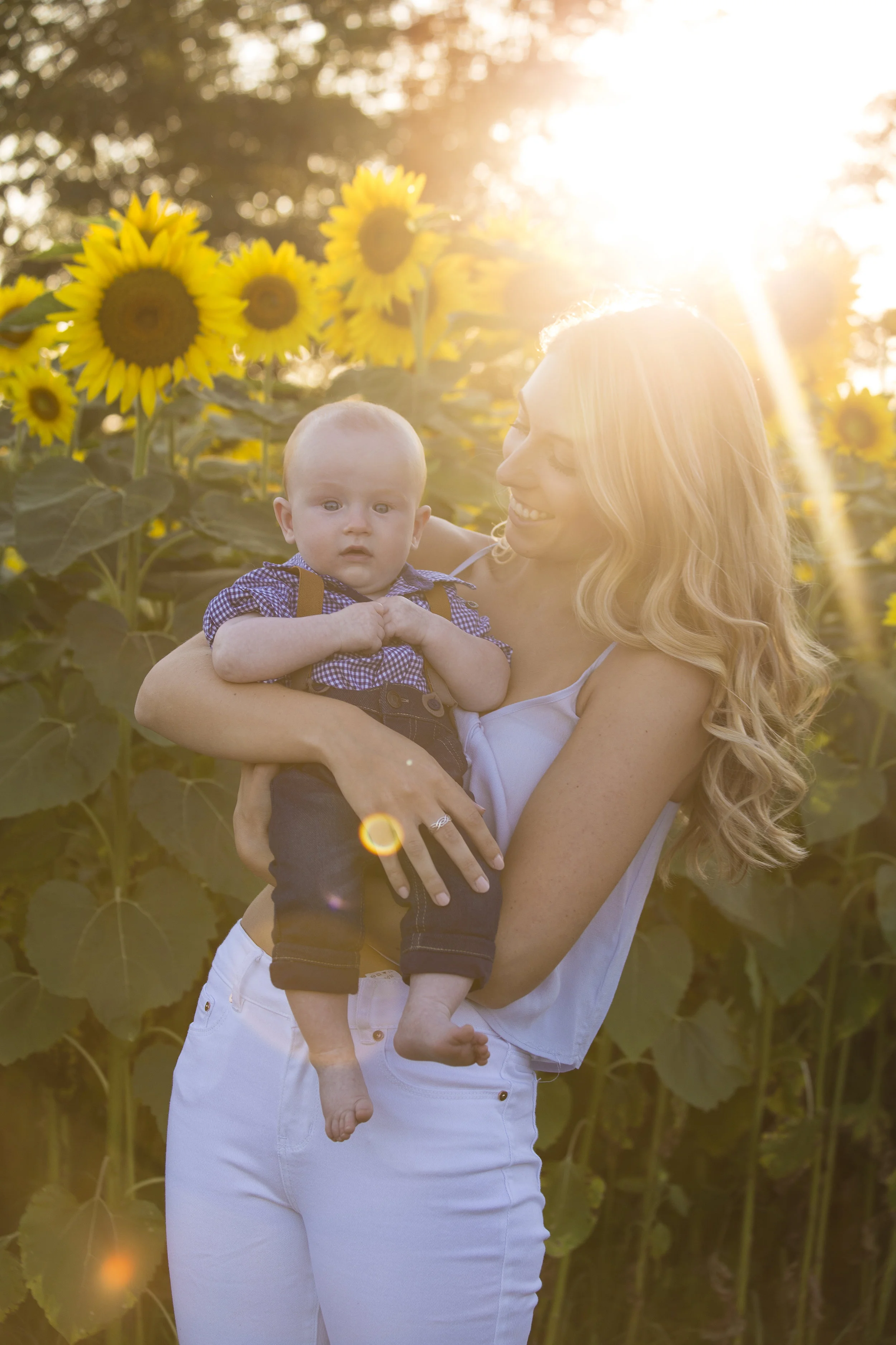 Sunflower Sunset-1070.jpg