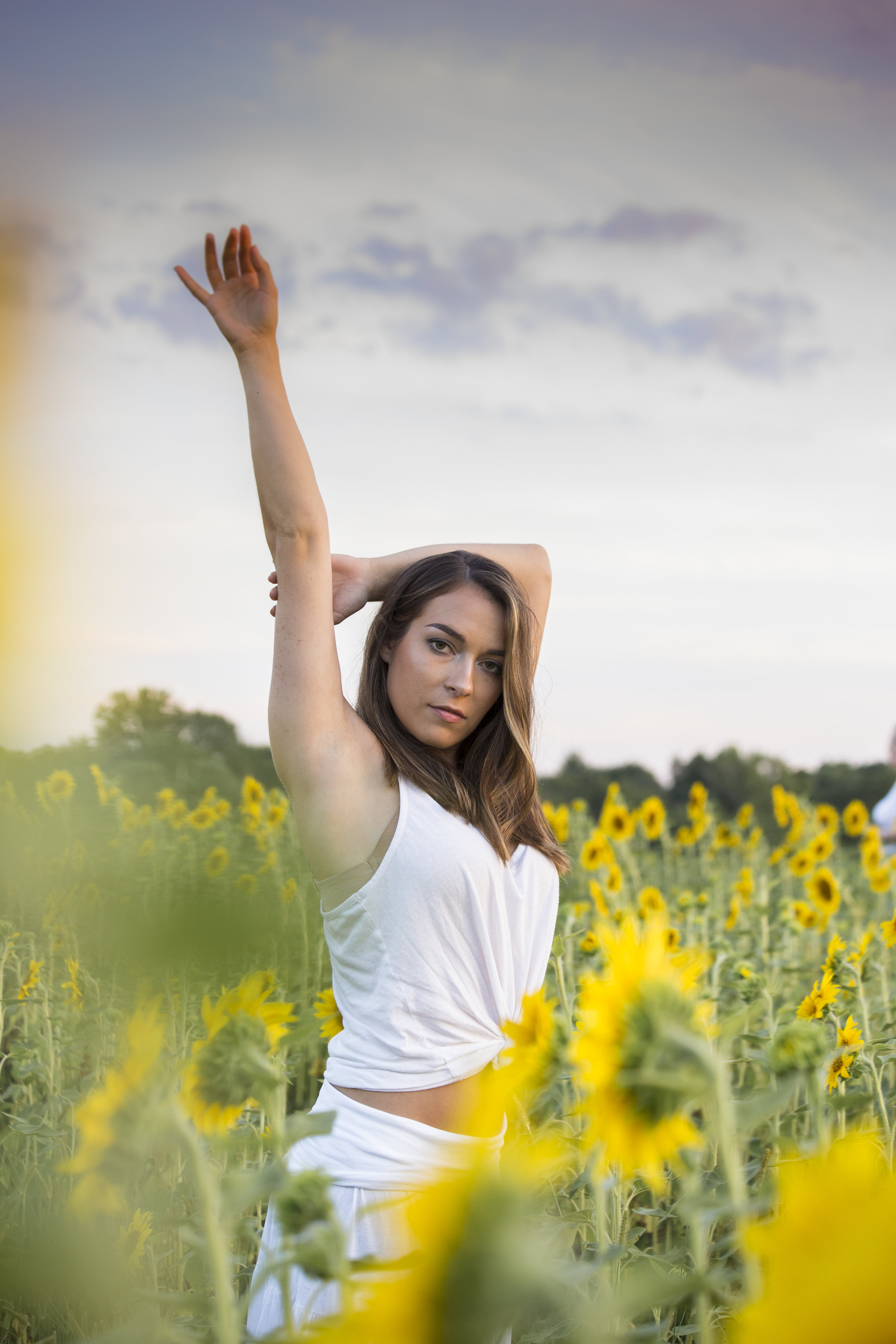 Sunflower Sunset-1259.jpg