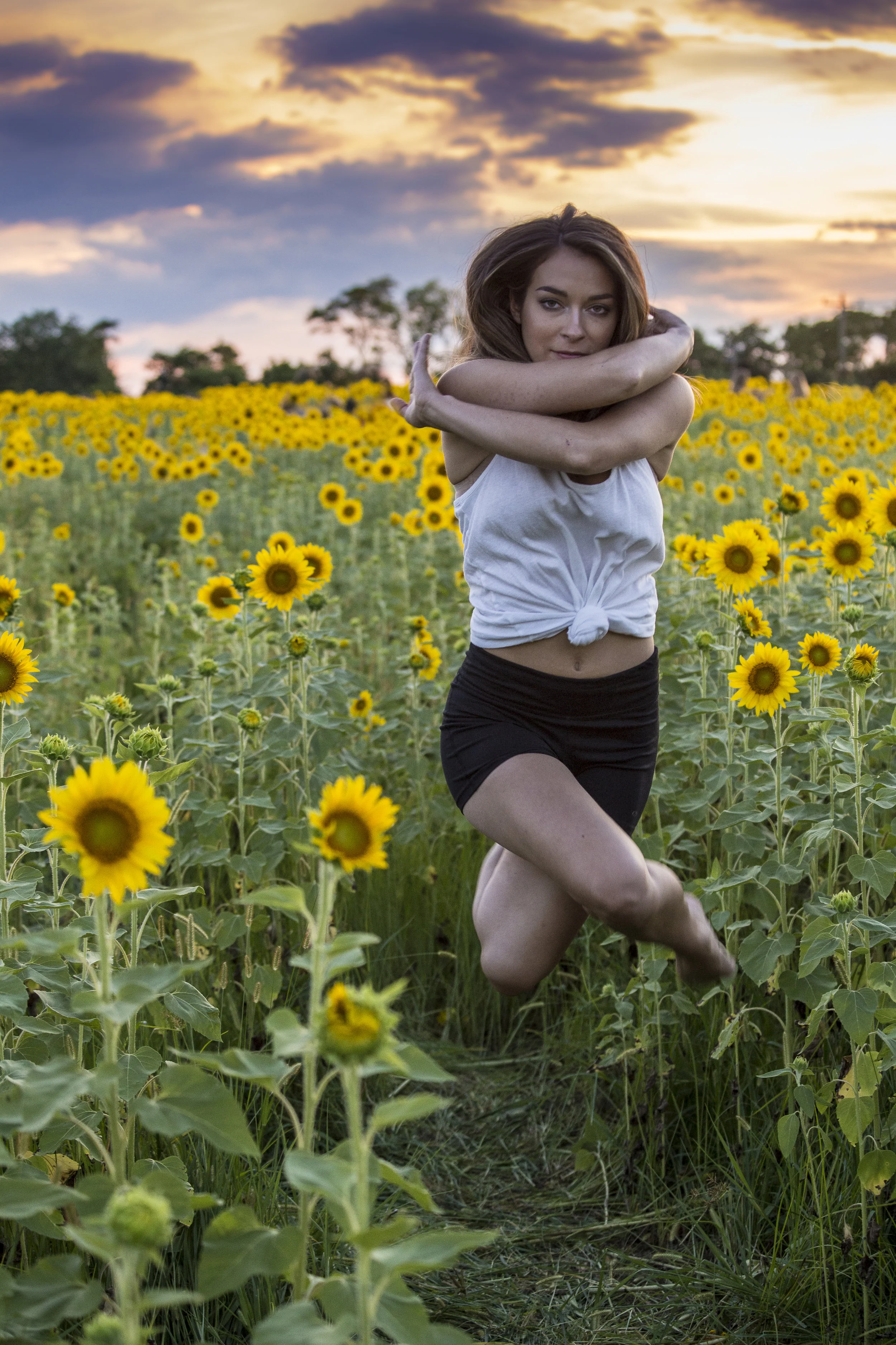 Sunflower Sunset-1293.jpg