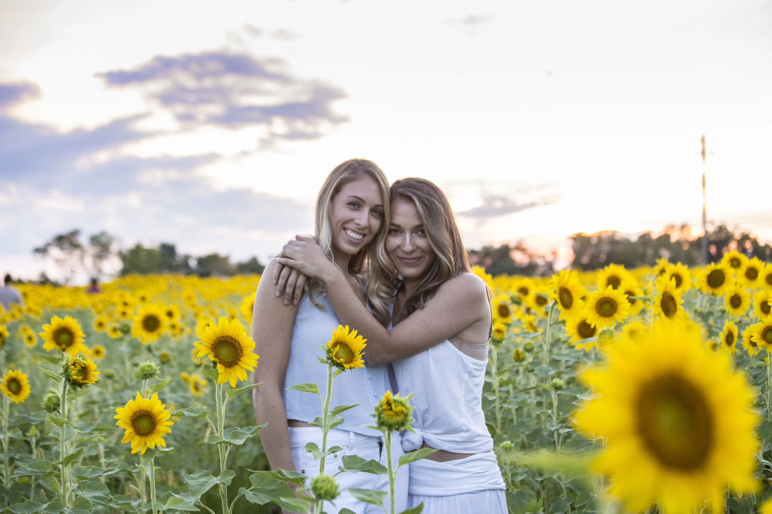 Sunflower Sunset-1321.jpg