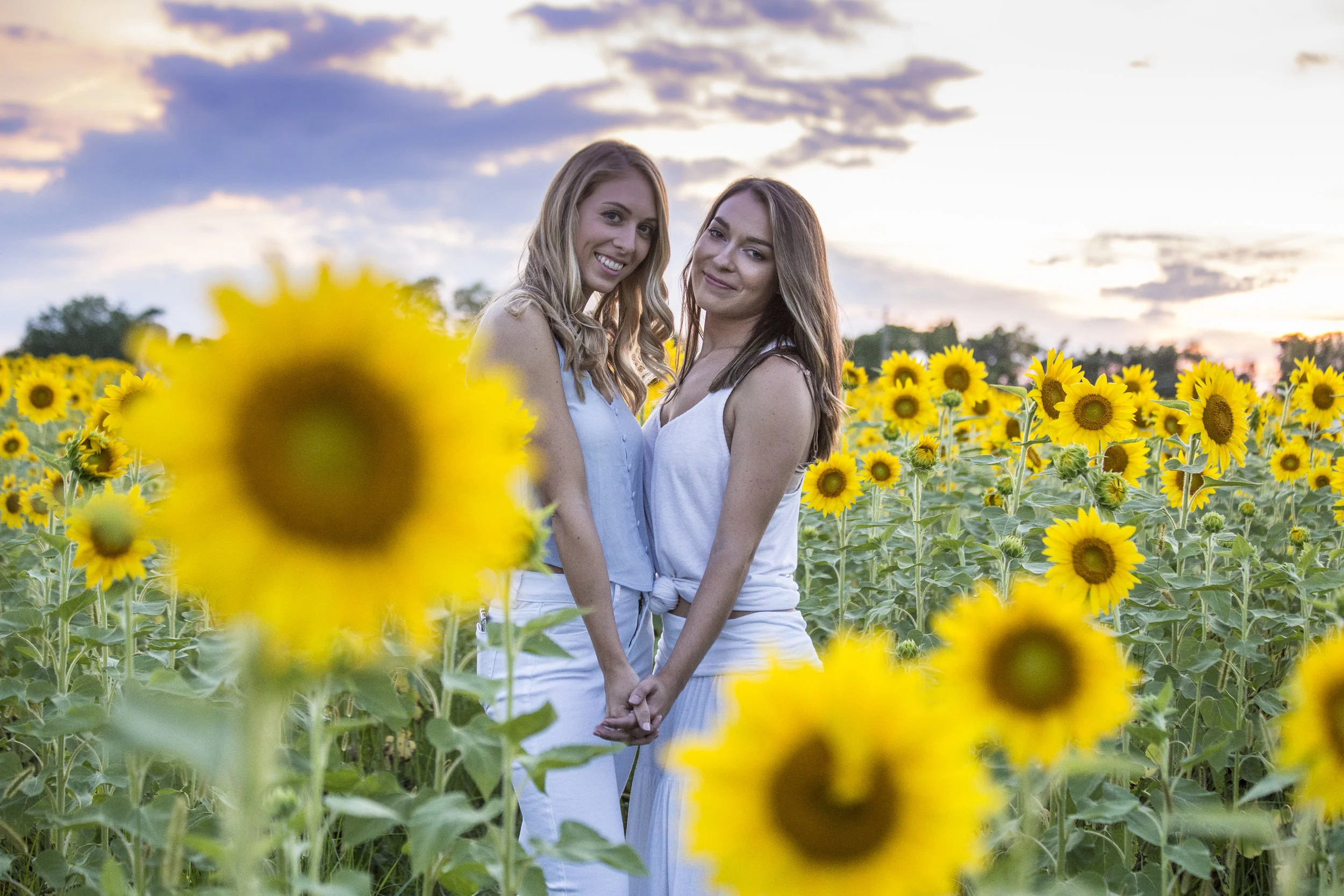 Sunflower Sunset-1333.jpg