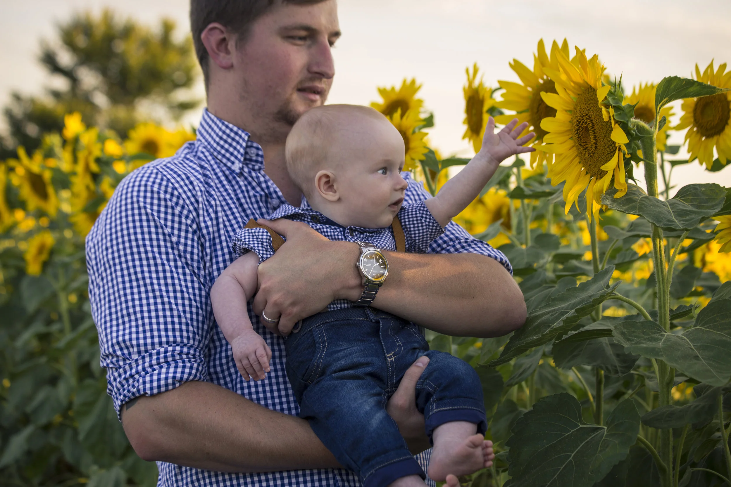 Sunflower Sunset-1023.jpg