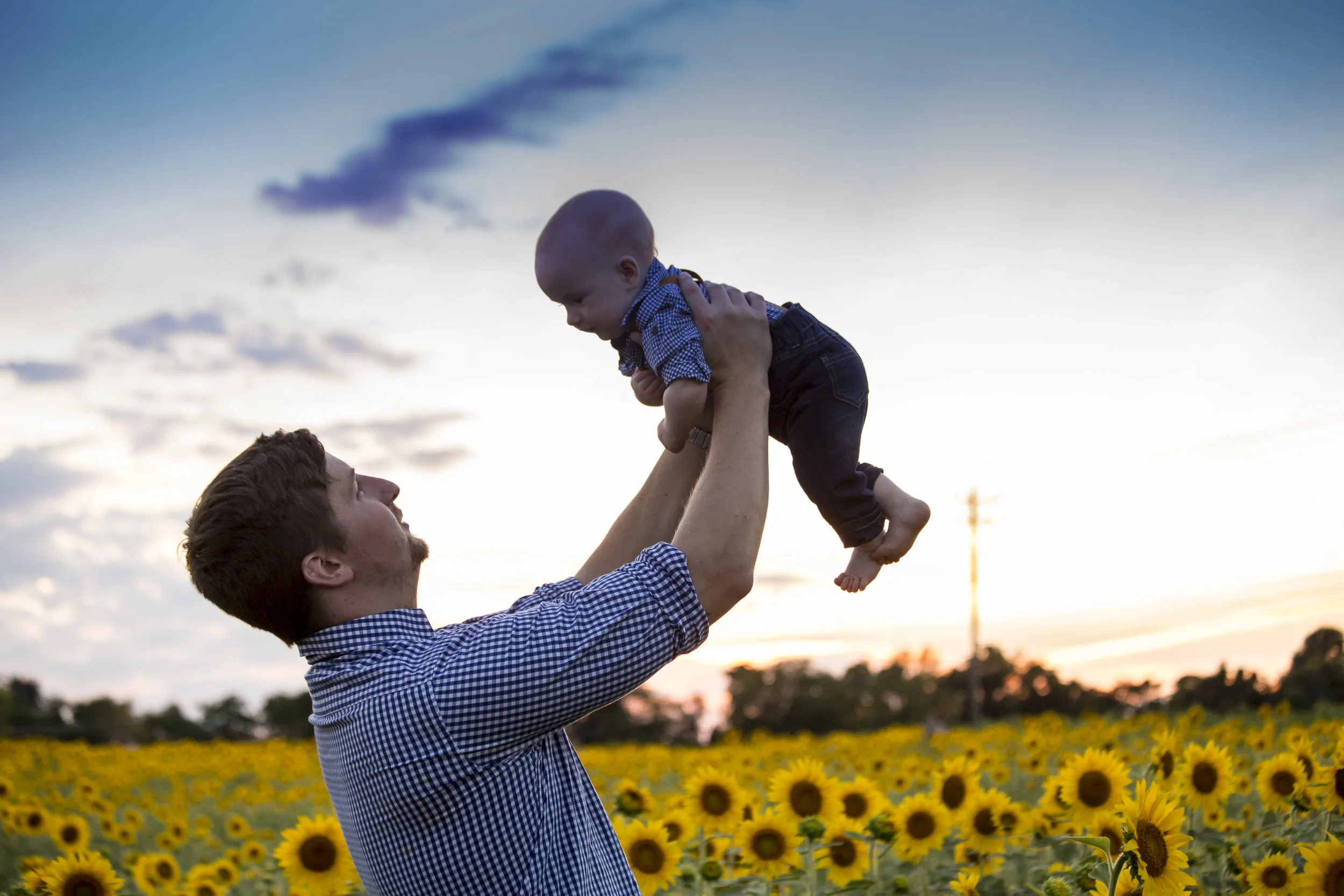 Sunflower Sunset-1347.jpg