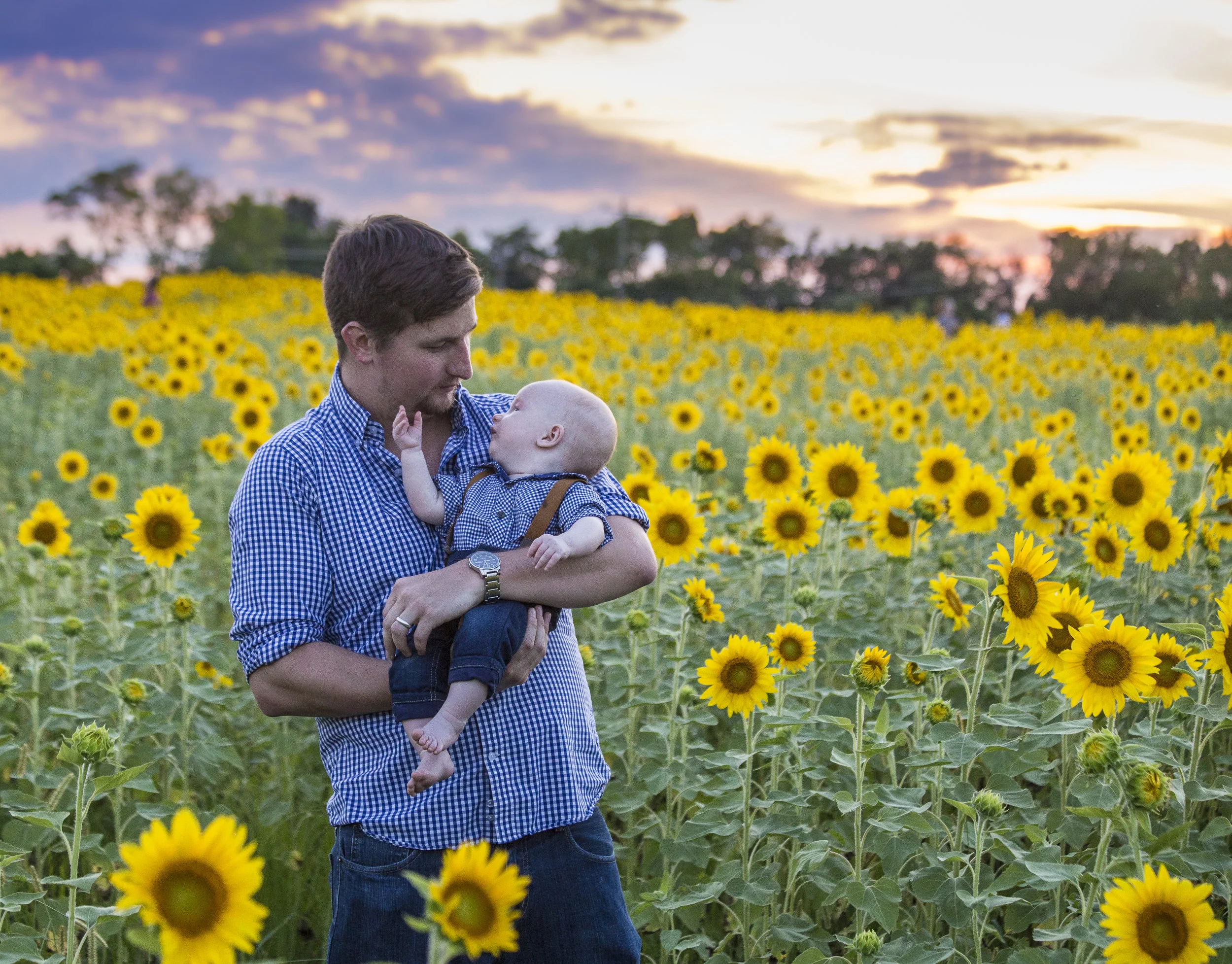 Sunflower Sunset-1339.jpg