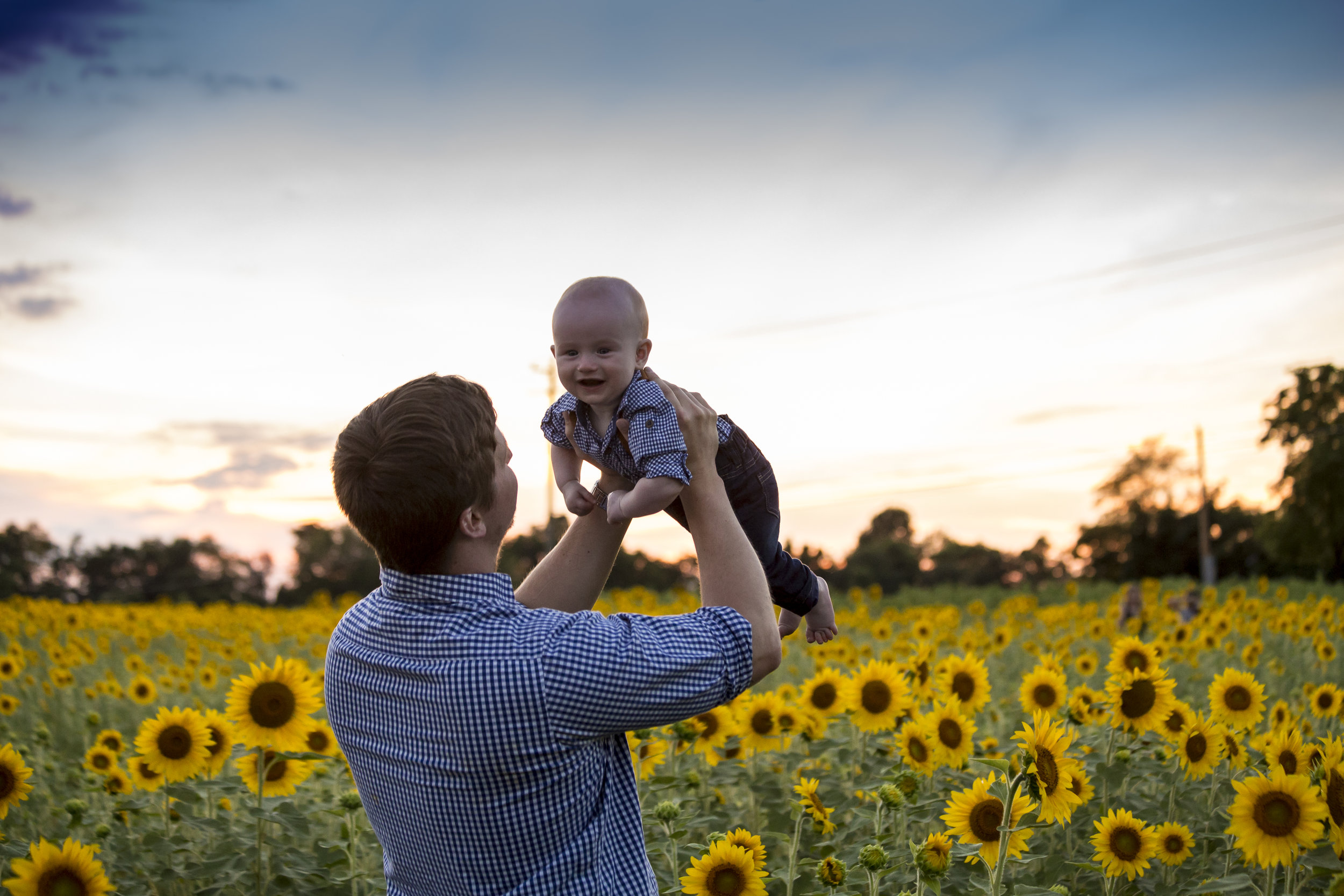 Sunflower Sunset-1369.jpg