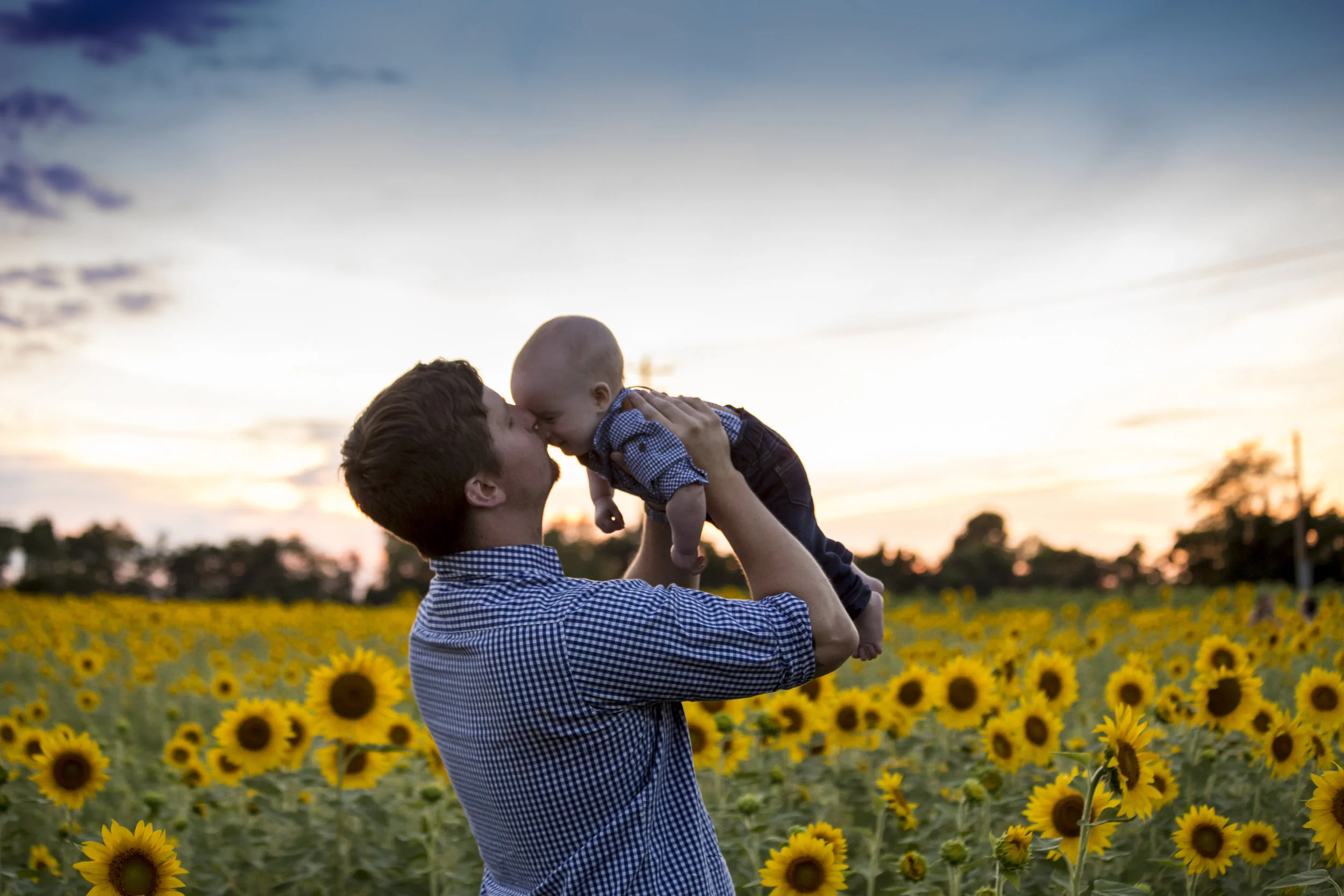 Sunflower Sunset-1380.jpg
