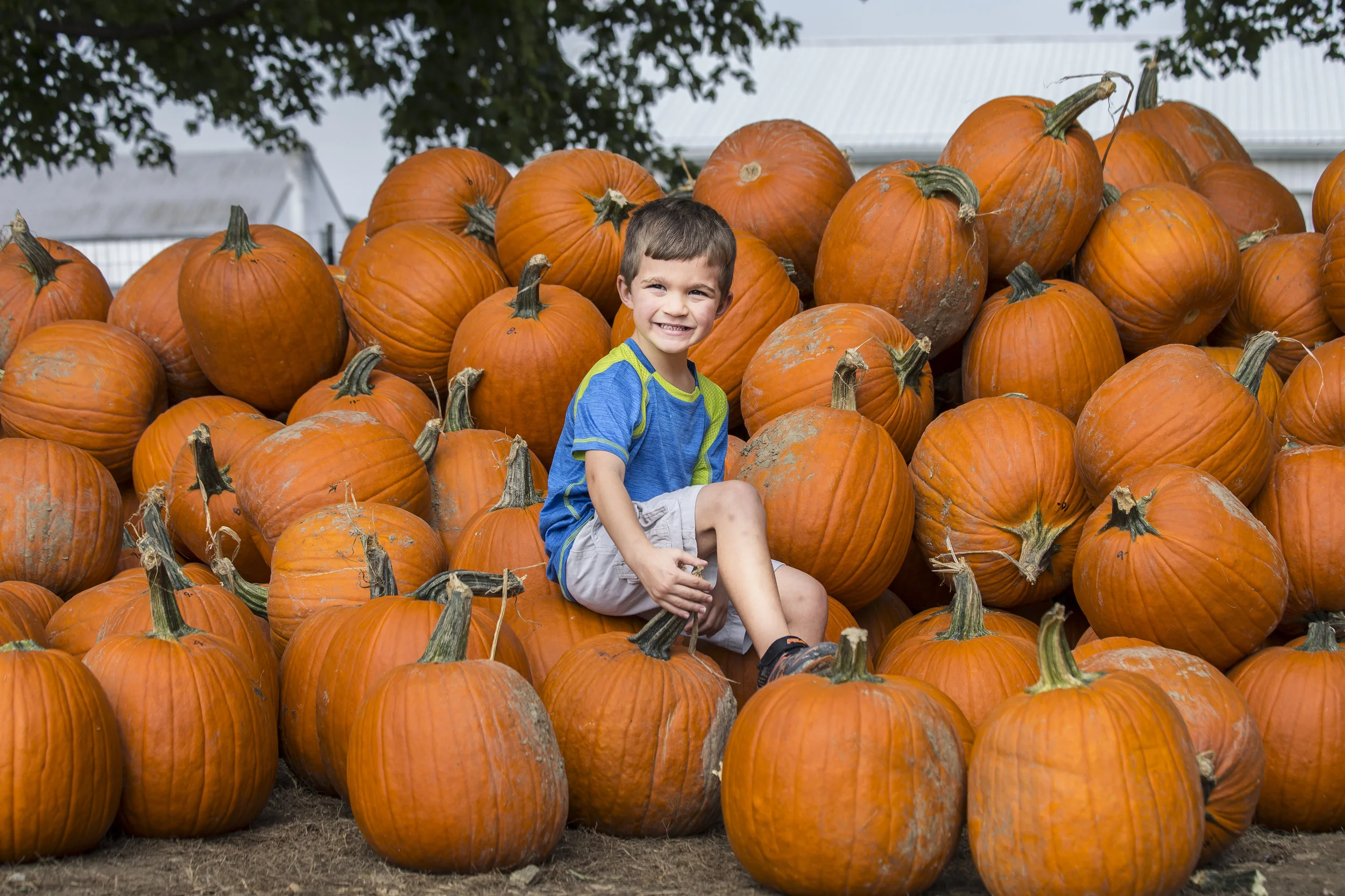 LiamTeeter_ShawPumpkinPatch-3966.JPG