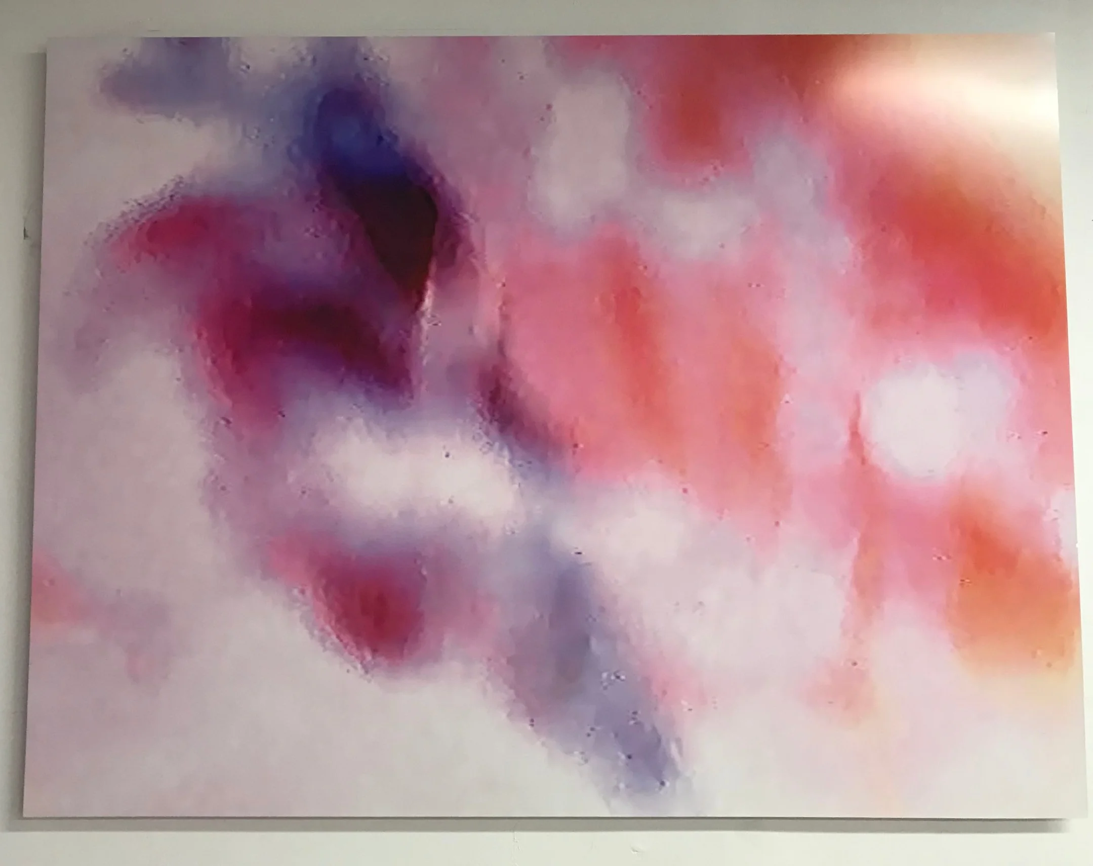 WE ARE ALL PINK INSIDE : Interior #78