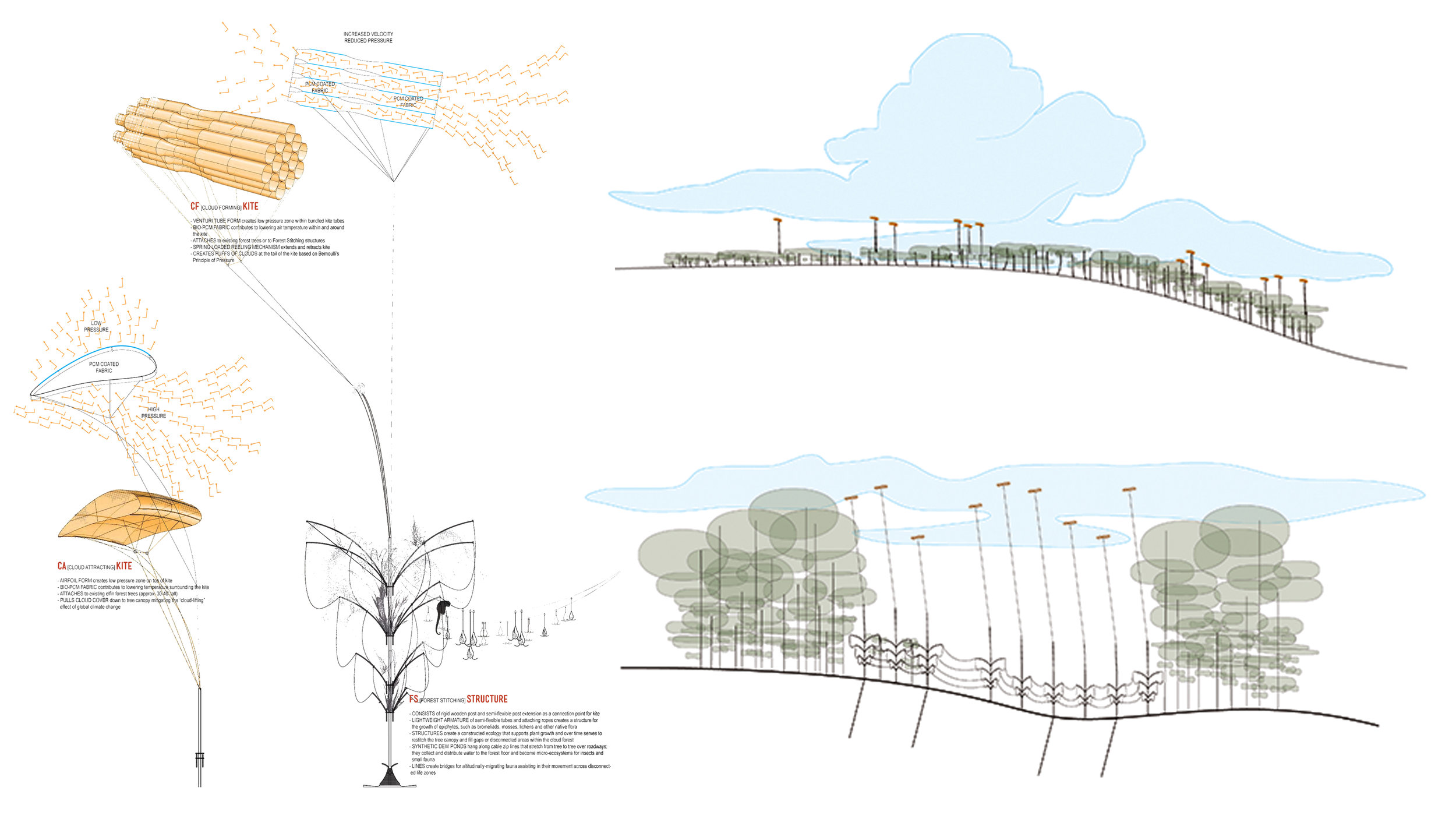 kites-FS-structures_rev.jpg