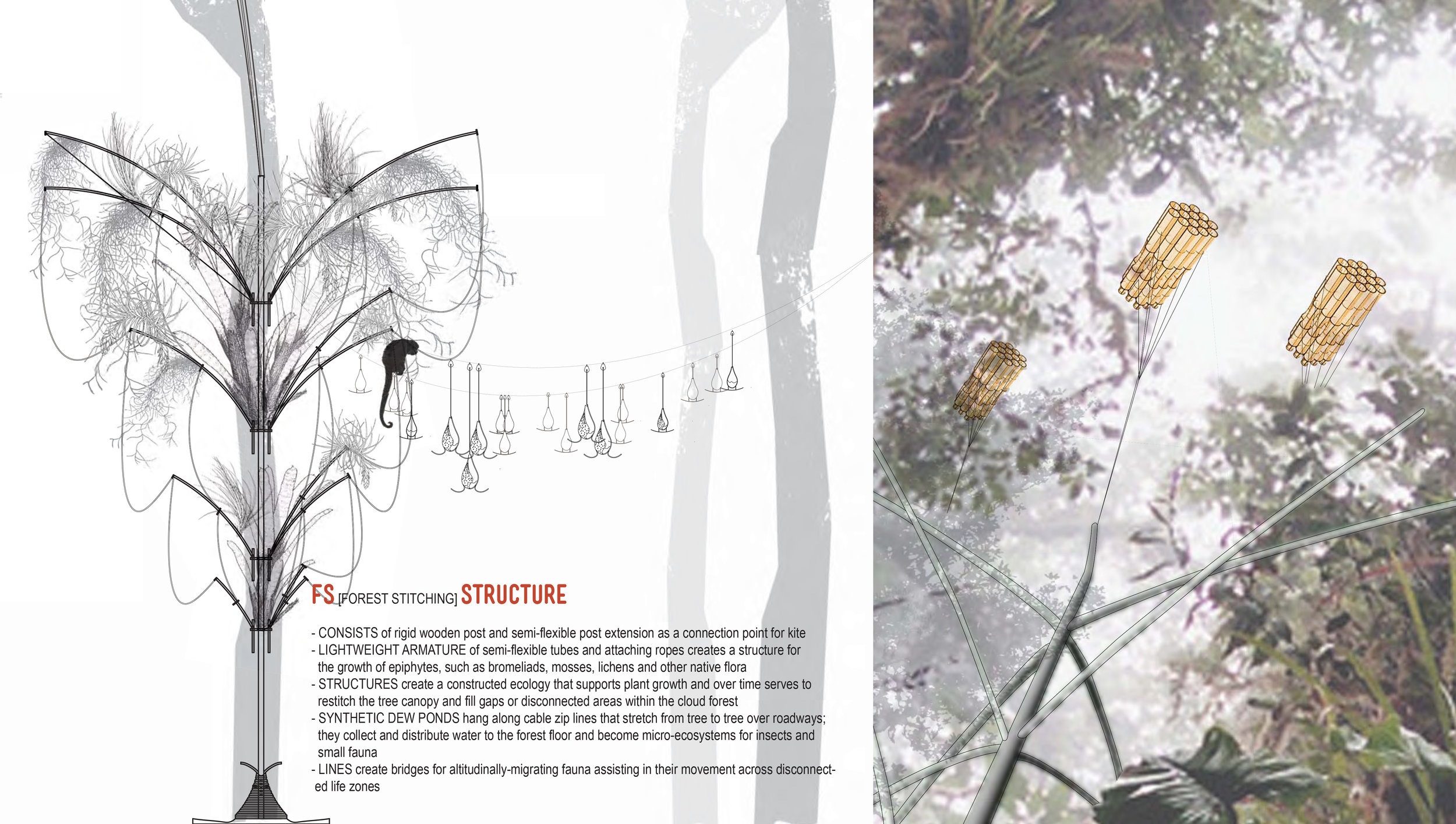FS-structures_CF-kites.jpg