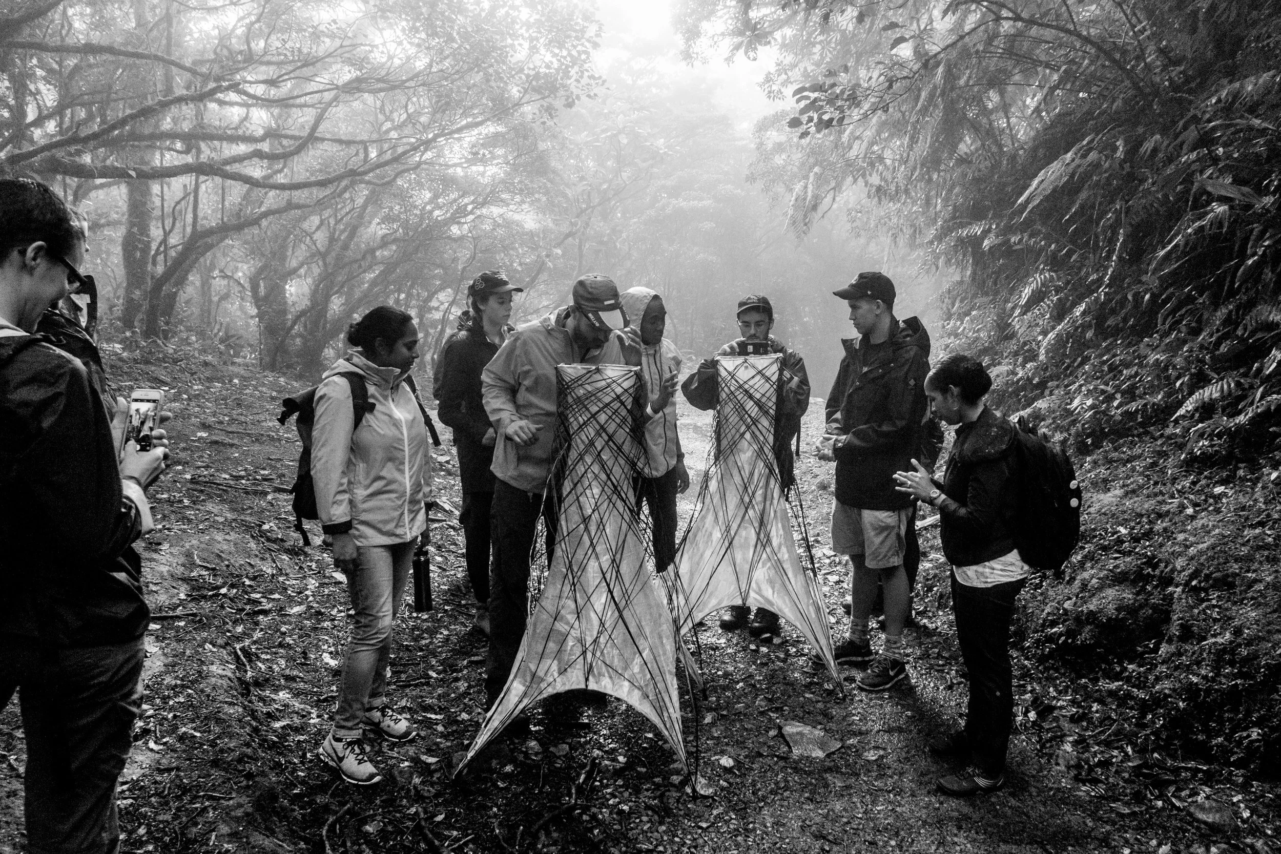  Copyright, Stephen Mayer 2018 