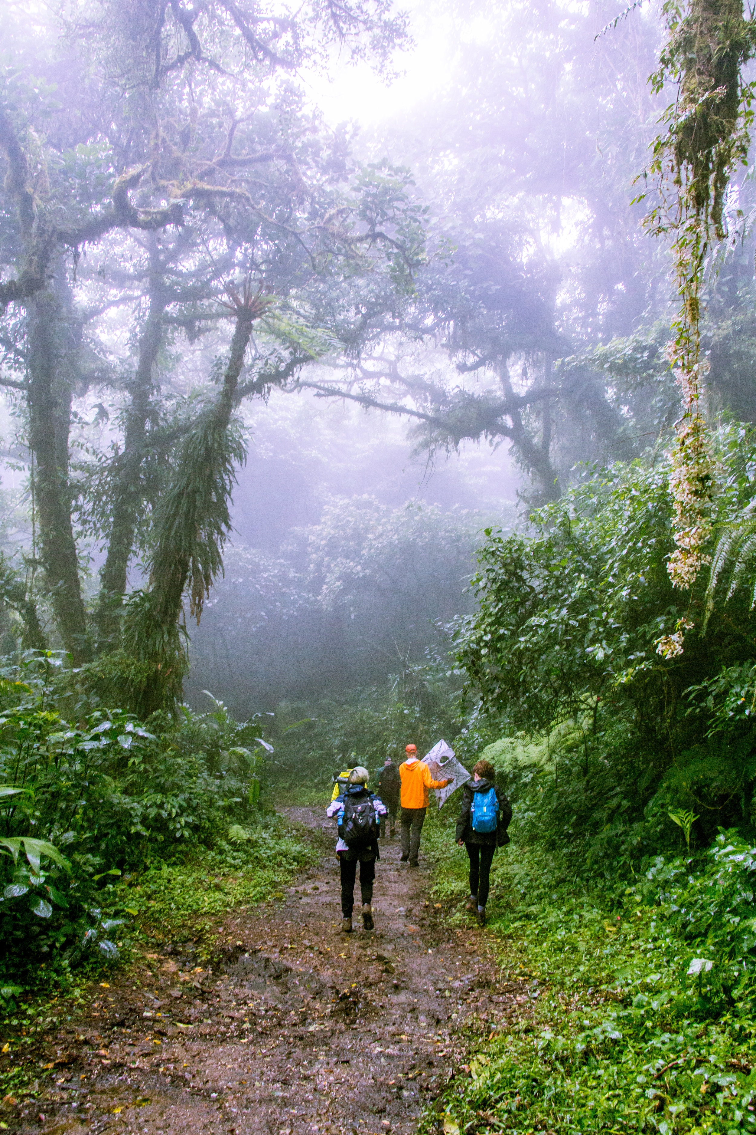  Copyright, Stephen Mayer 2018 