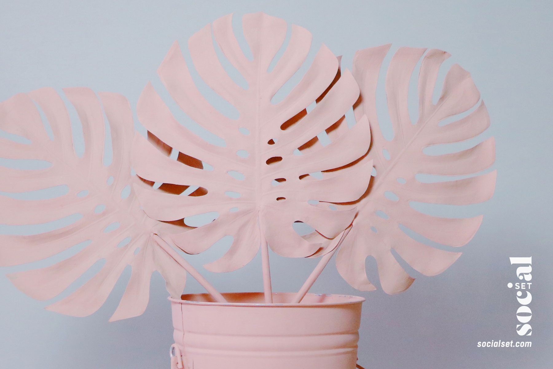 Photo Booth Props - Pink Tropical Leaves