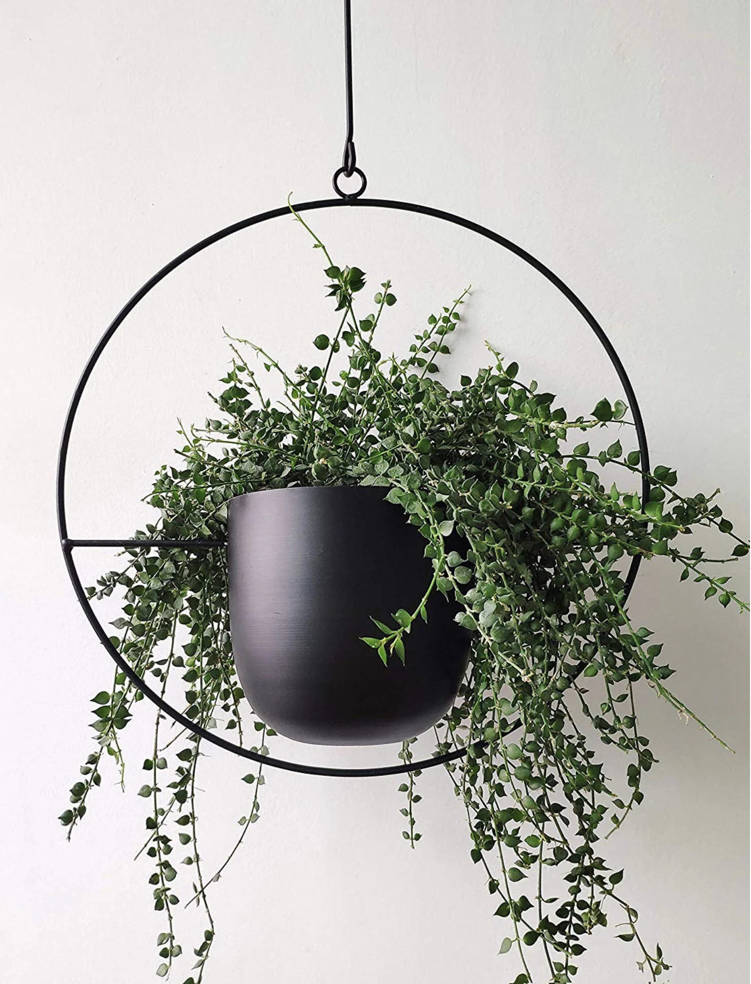 Hanging Plant Ideas on Amazon