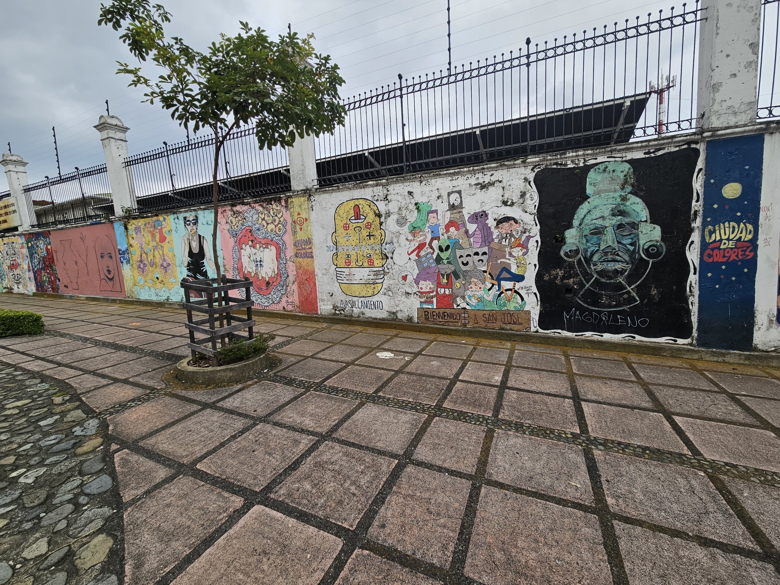 processed_1000009816.jpg