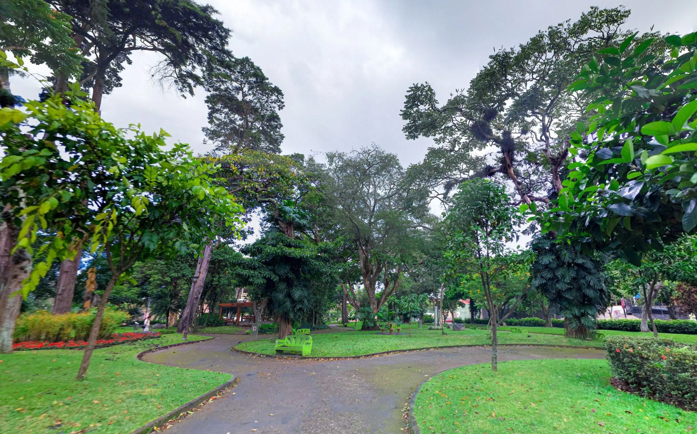 Freebies in San José, Costa Rica
