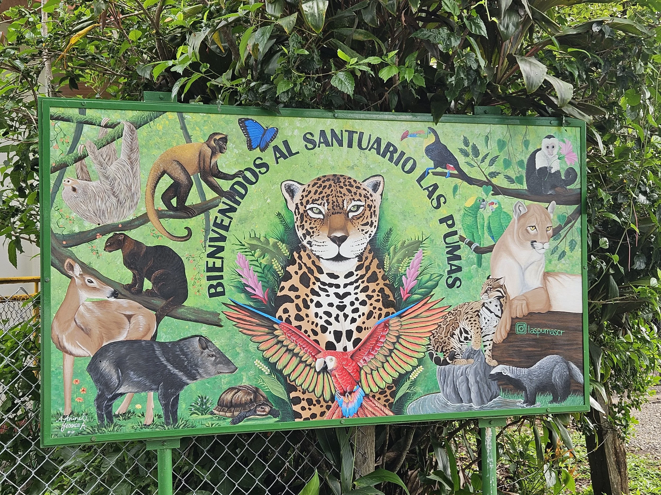 Onward to Monteverde