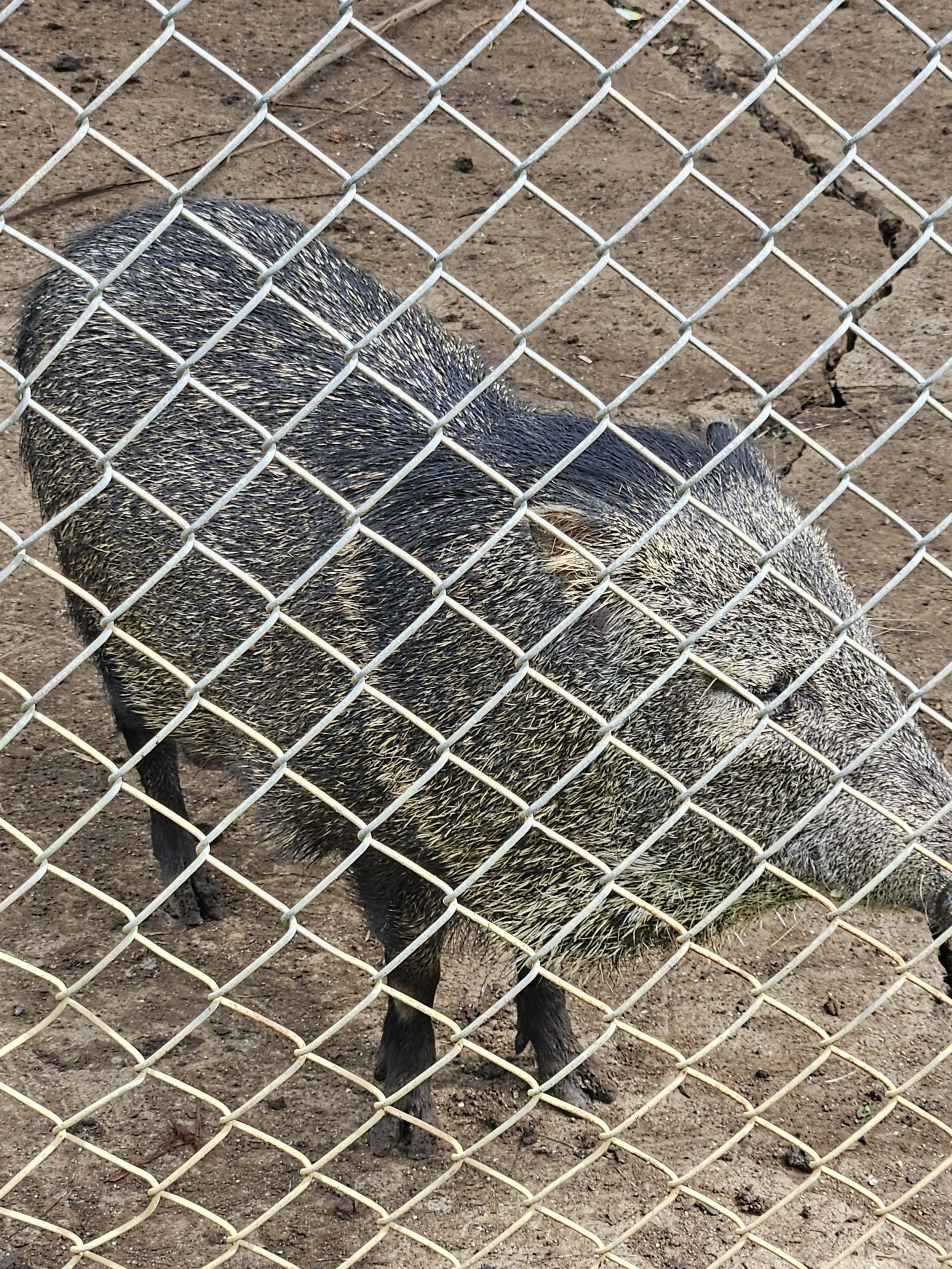20240902_085540.jpg