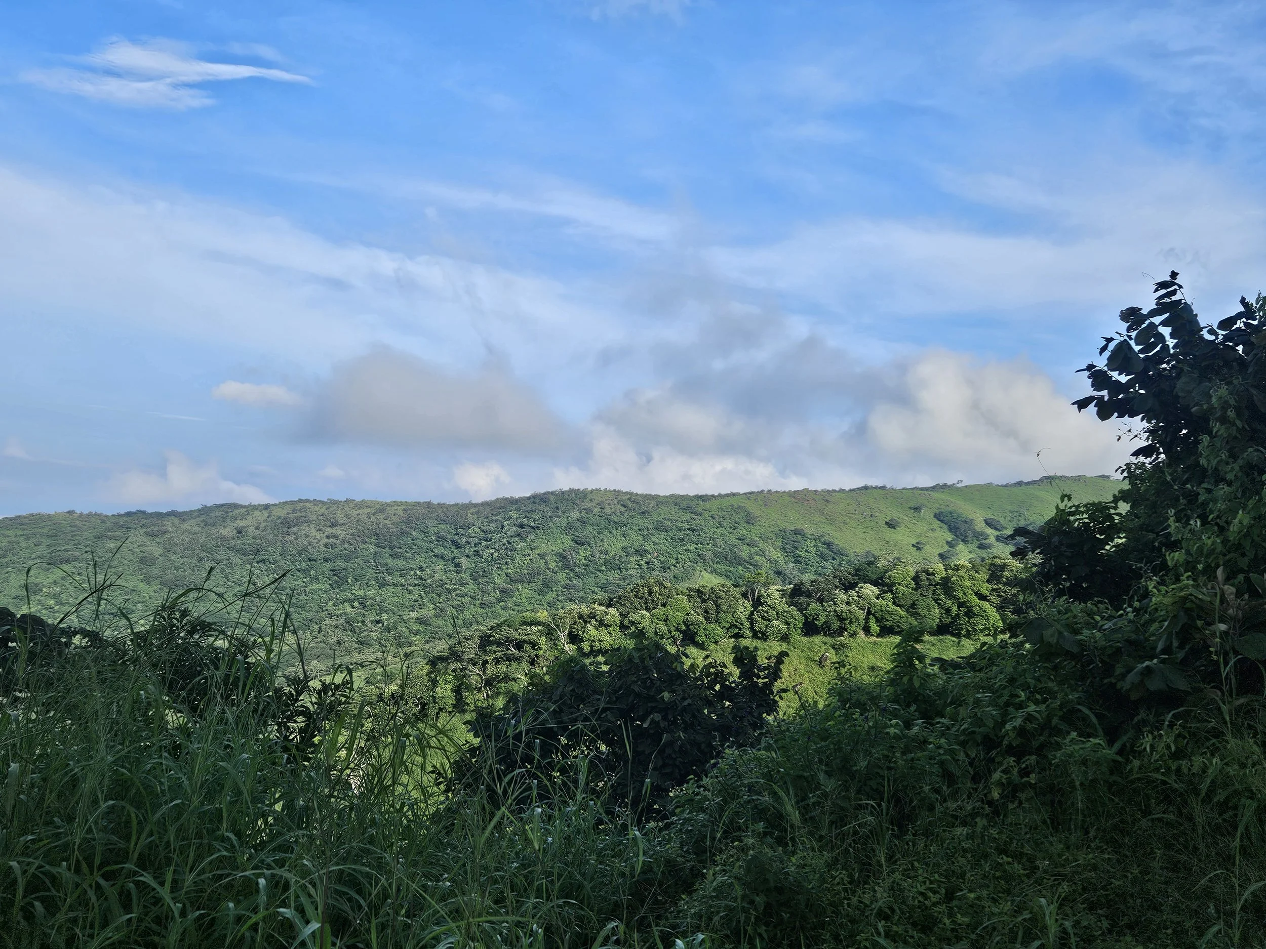 20240904_064836.jpg