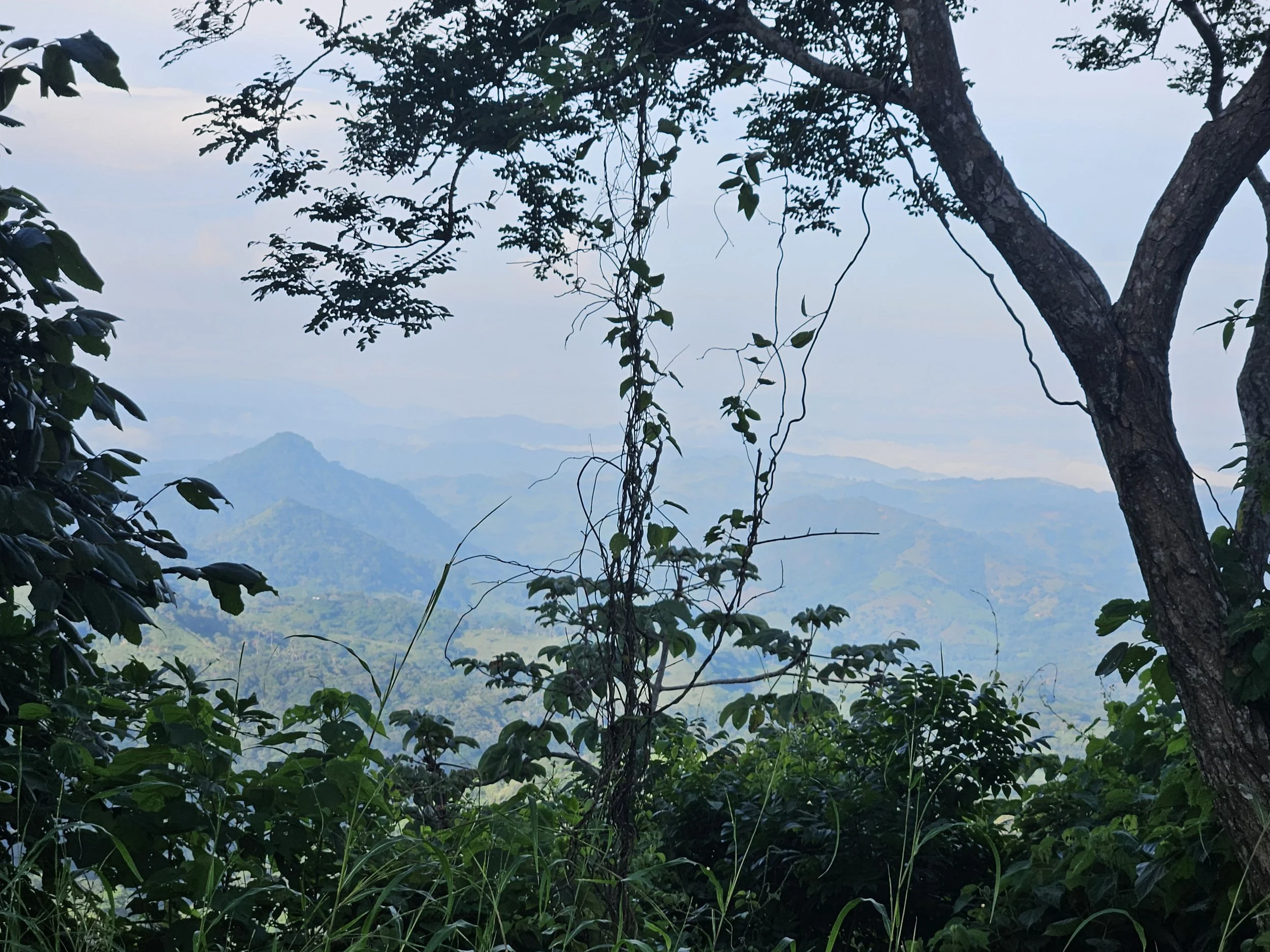 20240904_064850.jpg