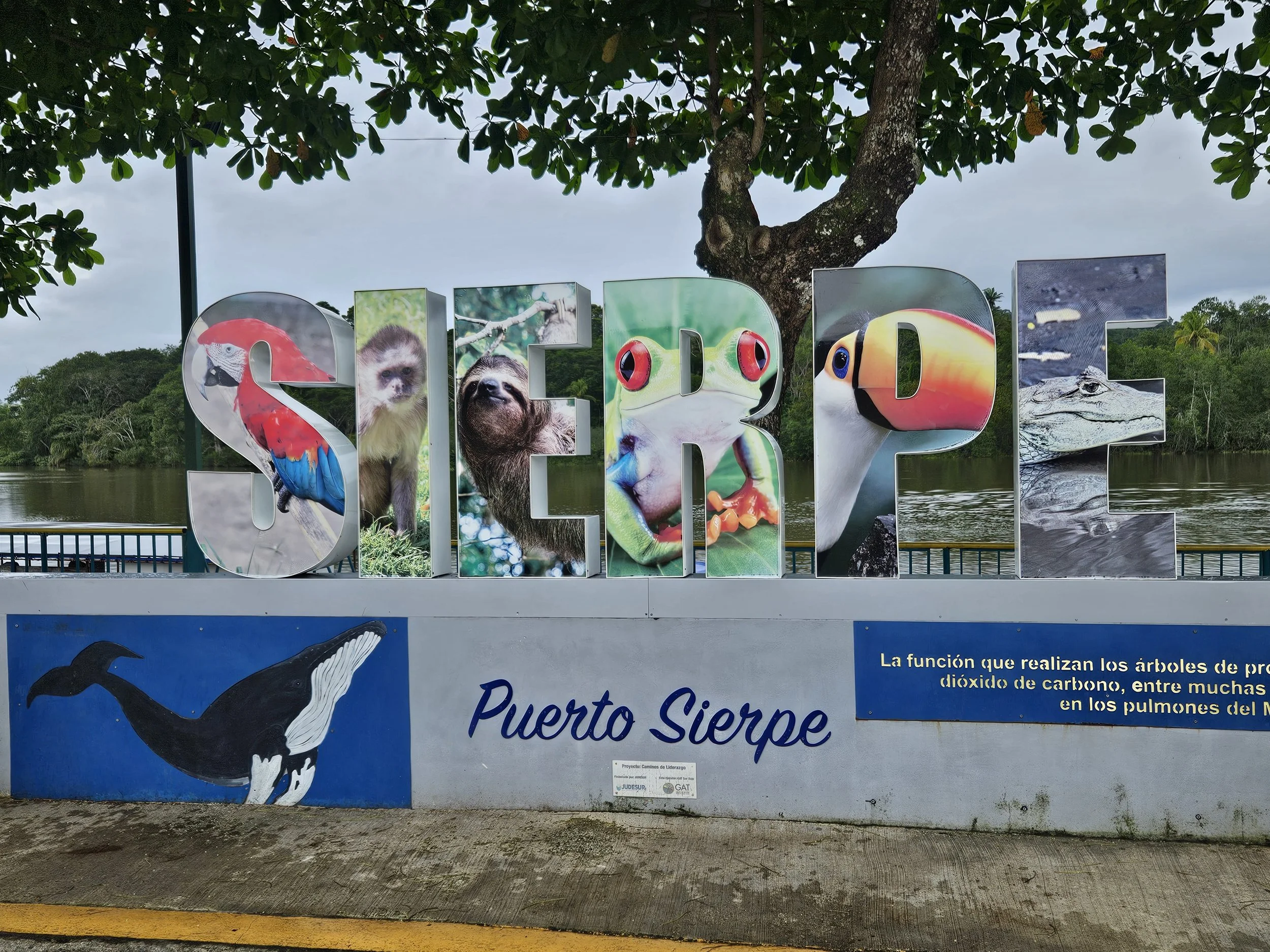 20240904_150909.jpg
