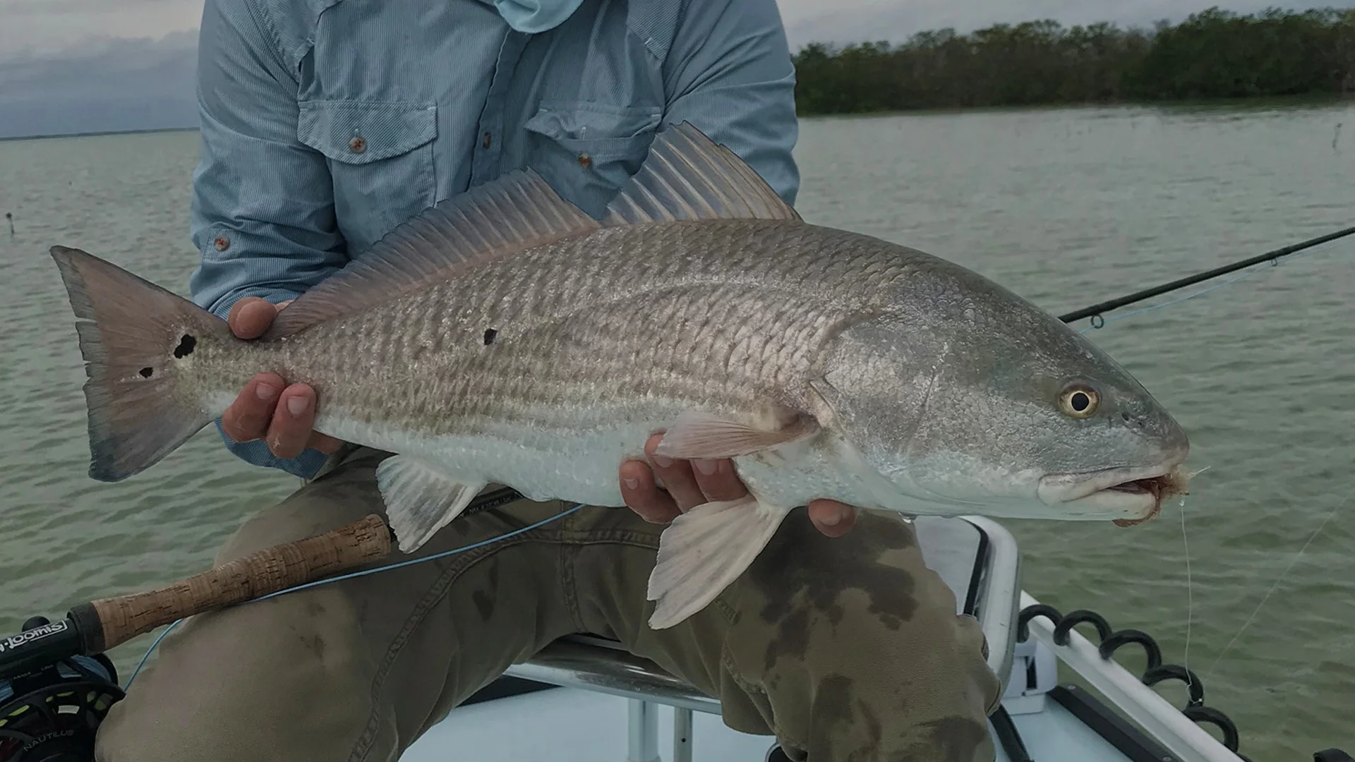 Everglades-Redfish.jpg