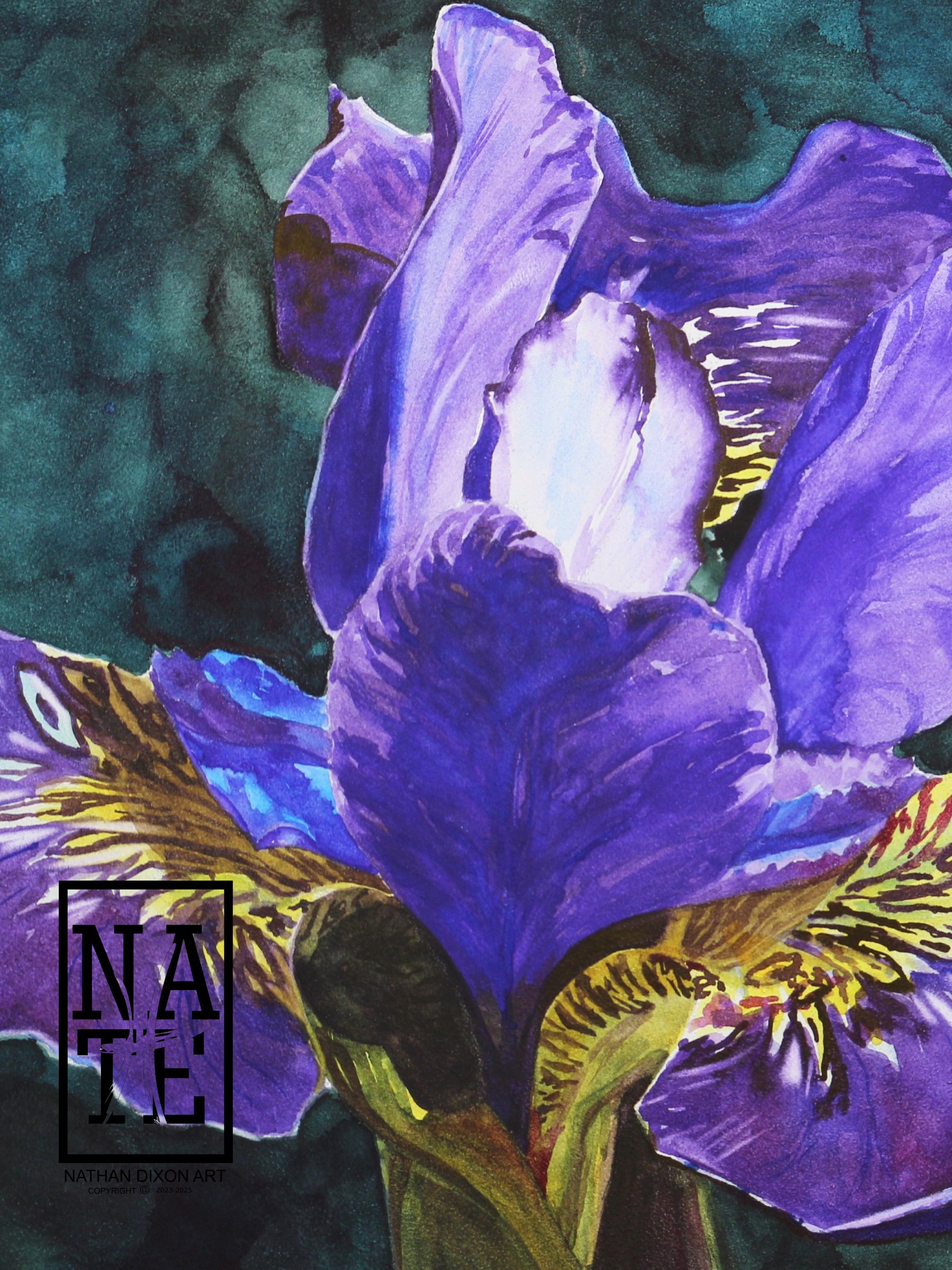 Shades of violet WEBSITE.jpg