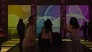Gaia @ The Corcoran Gallery