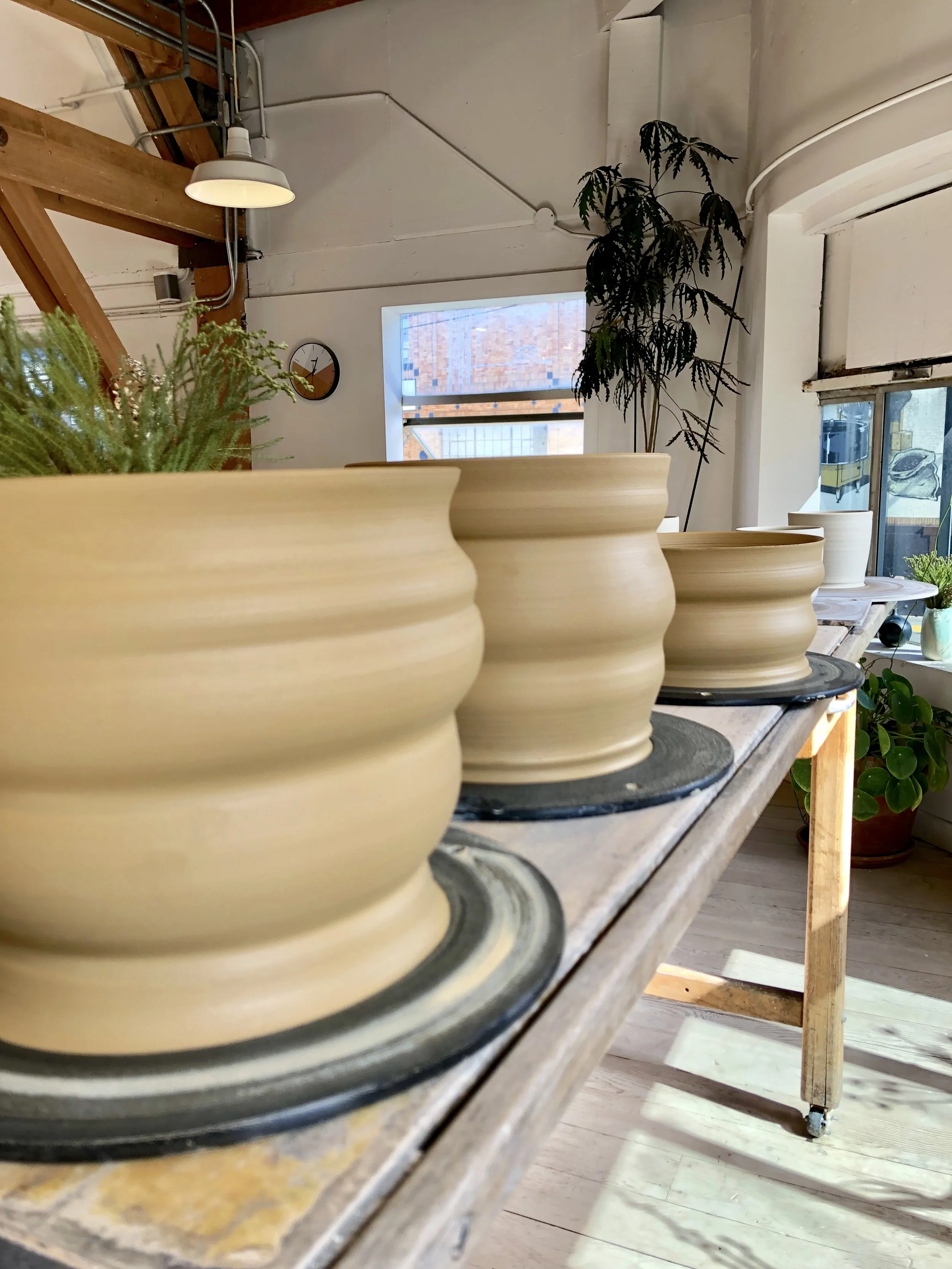 Photo Feb 20 2021, 12 40 04 PM.jpg